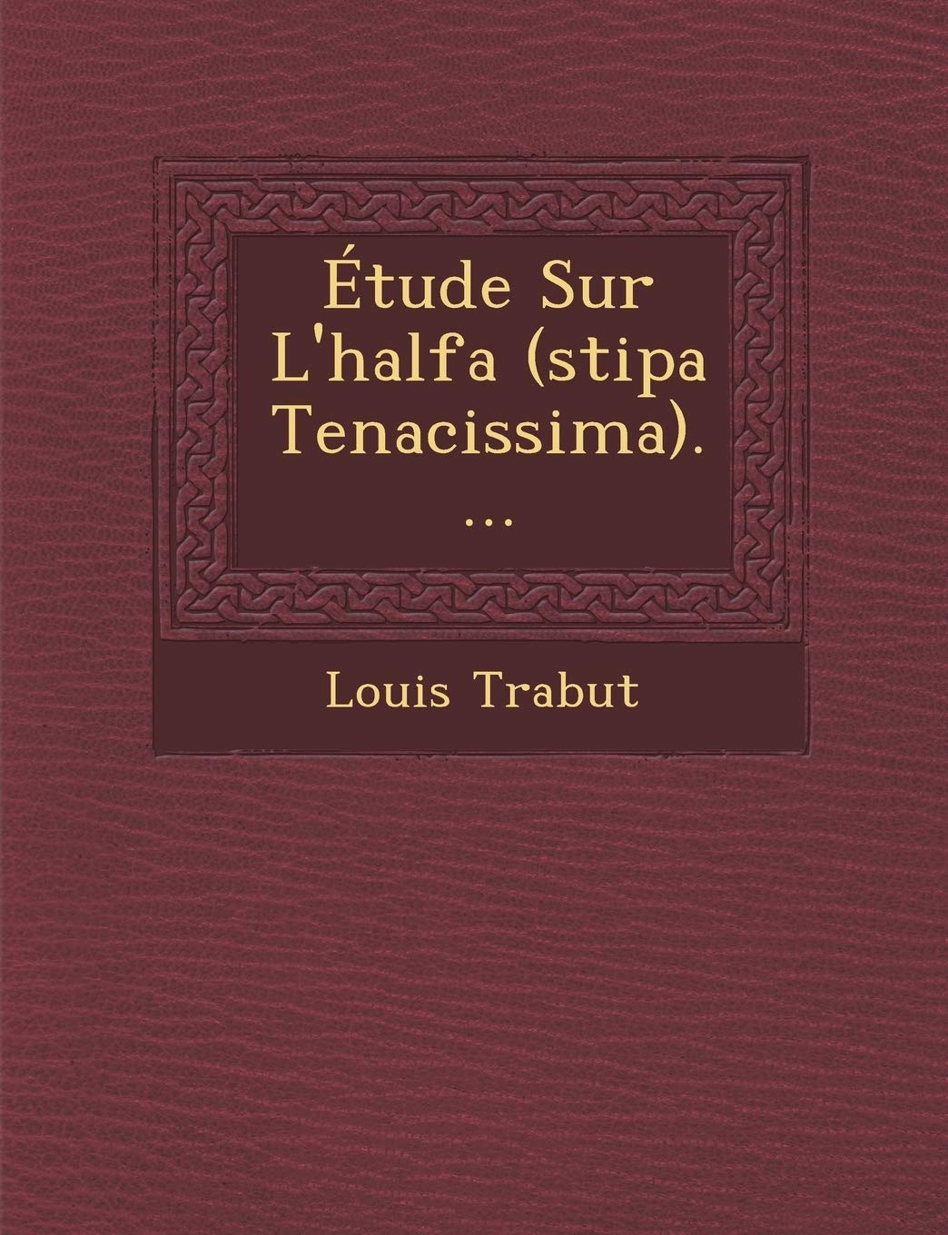 Étude Sur L'halfa (stipa Tenacissima).... book