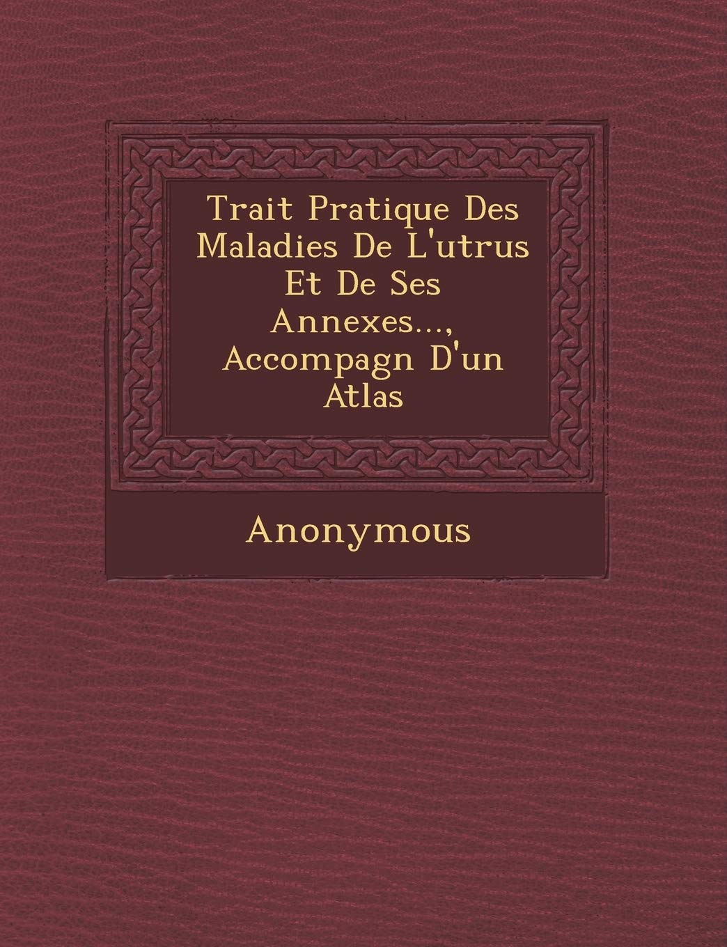 Trait Pratique Des Maladies de L'Ut Rus Et de Ses Annexes..., Accompagn D'Un Atlas book