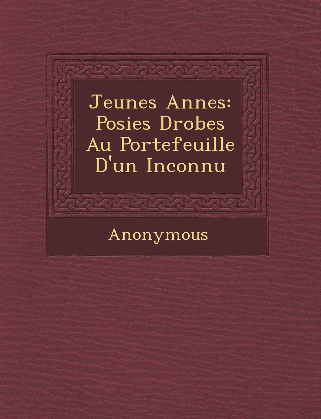 Jeunes Ann Es: Po Sies D Rob Es Au Portefeuille d'Un Inconnu book