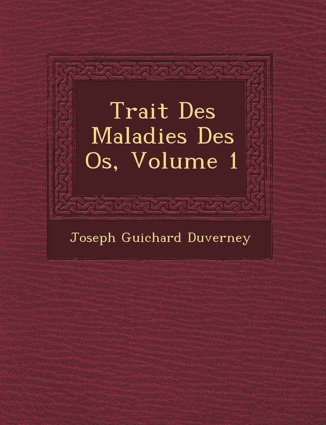 Trait Des Maladies Des OS, Volume 1 book