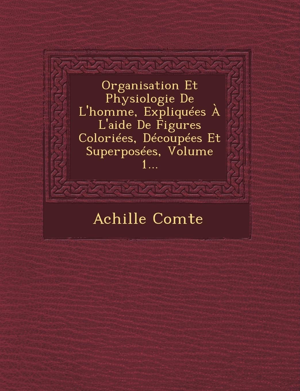 Organisation Et Physiologie de L'Homme, Expliquees A L'Aide de Figures Coloriees, Decoupees Et Superposees, Volume 1... book