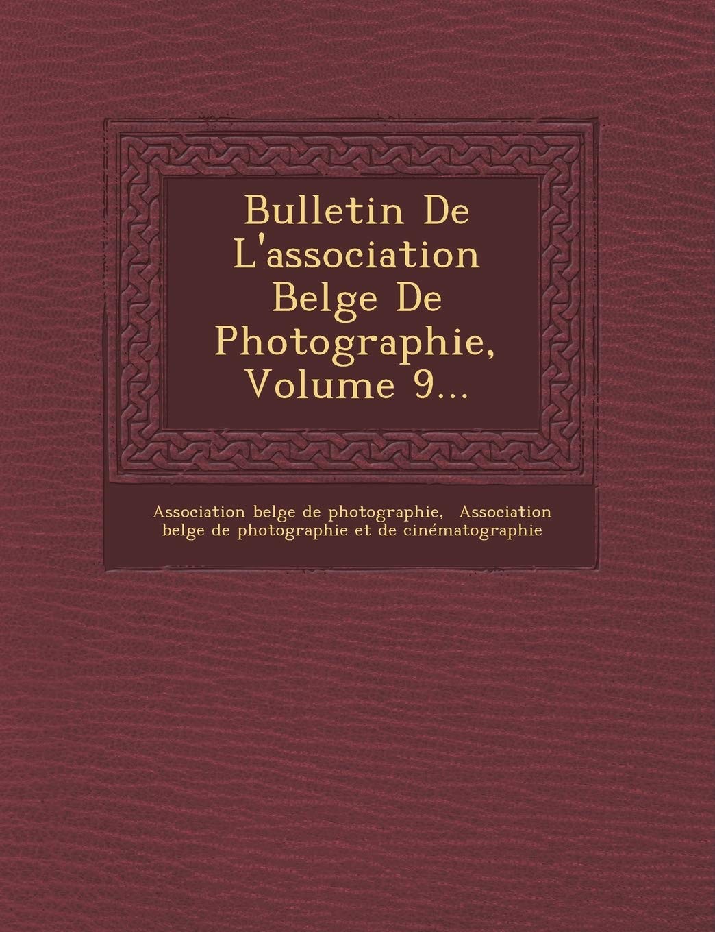 Bulletin de L'Association Belge de Photographie, Volume 9... book