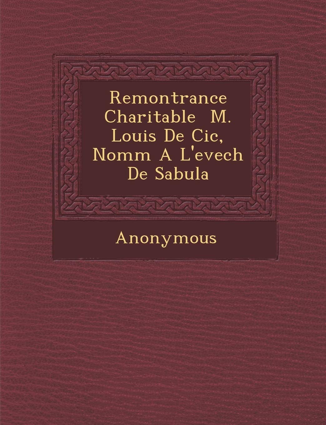 Remontrance Charitable M. Louis de CIC, Nomm A L'Evech de Sabula book
