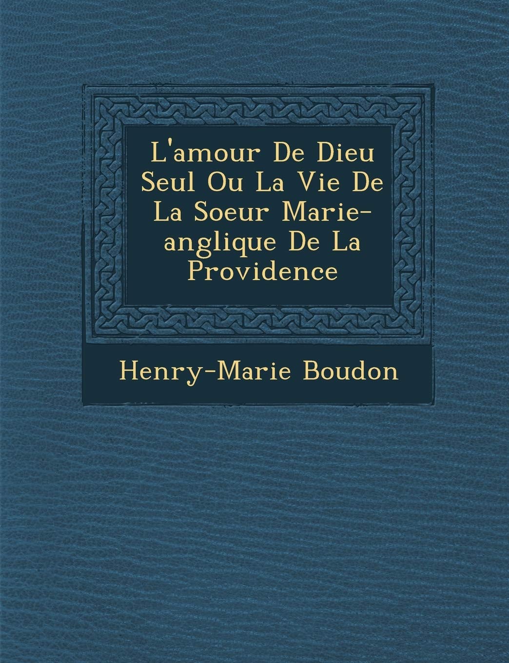 L'Amour de Dieu Seul Ou La Vie de La Soeur Marie-Ang Lique de La Providence book
