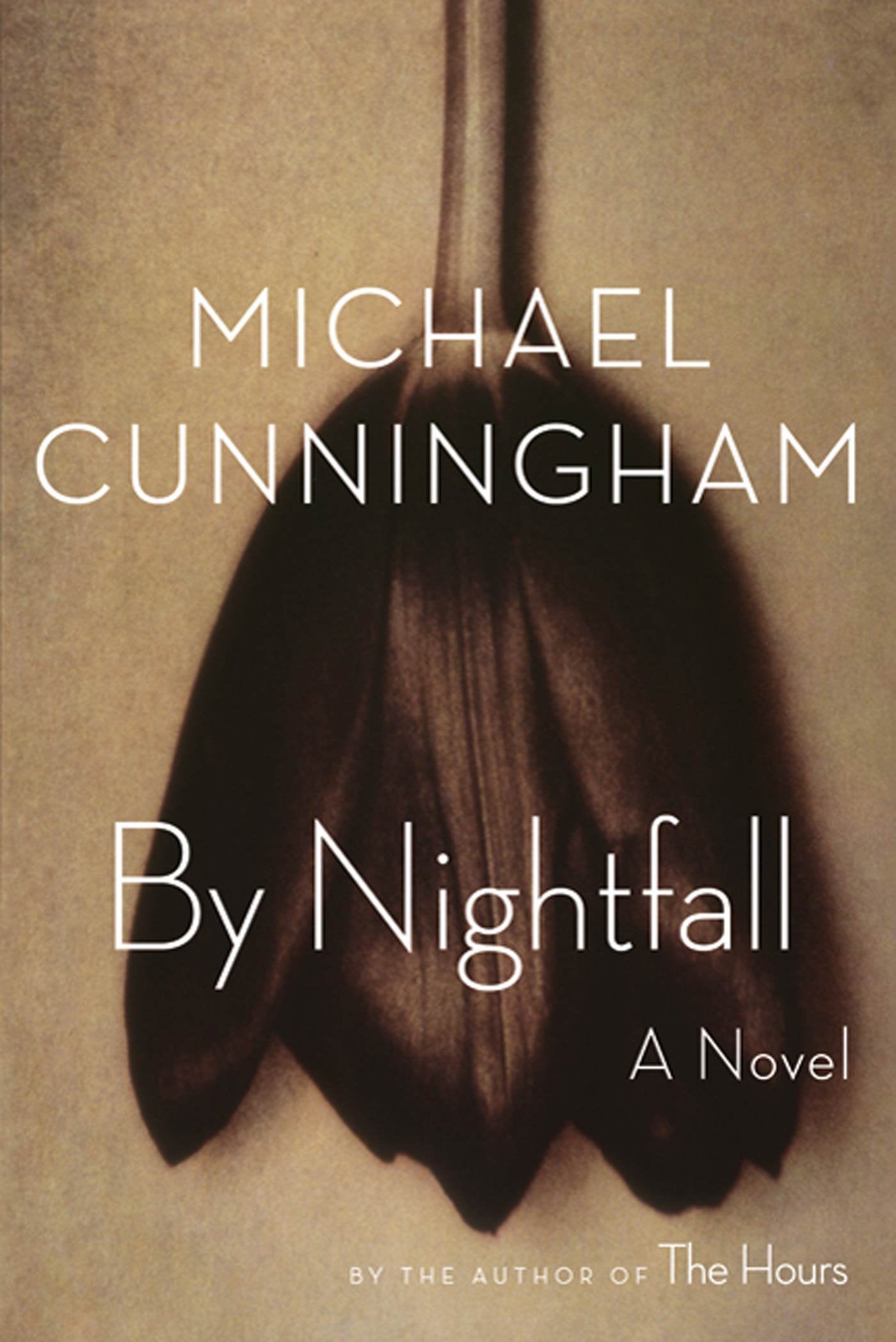 BY NIGHTFALL Books