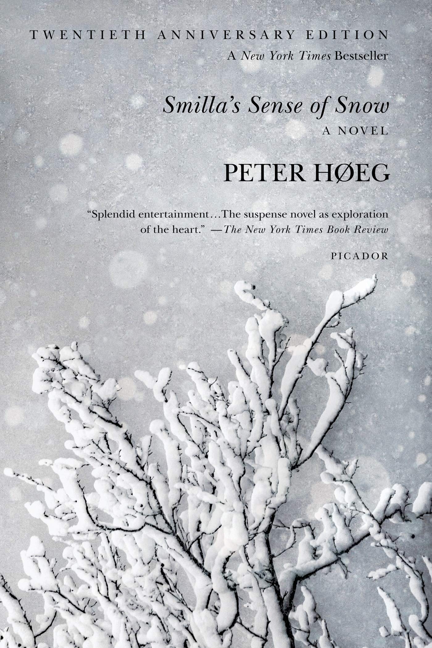 Smilla's Sense of Snow Contemporary literature
