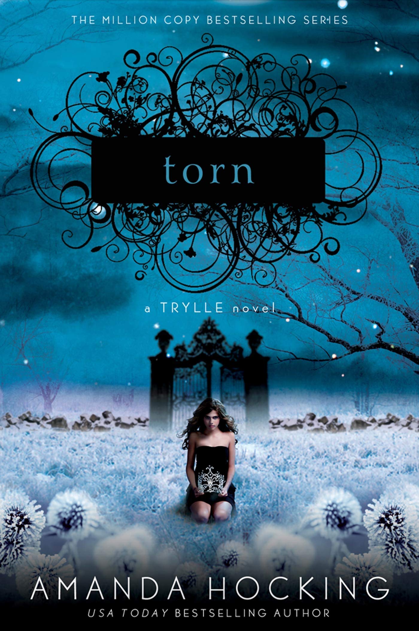 Torn Romance