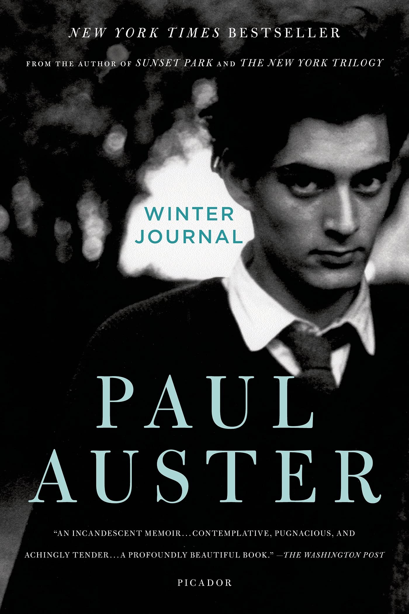 Auster, P: WINTER JOURNAL Art & Literature Books