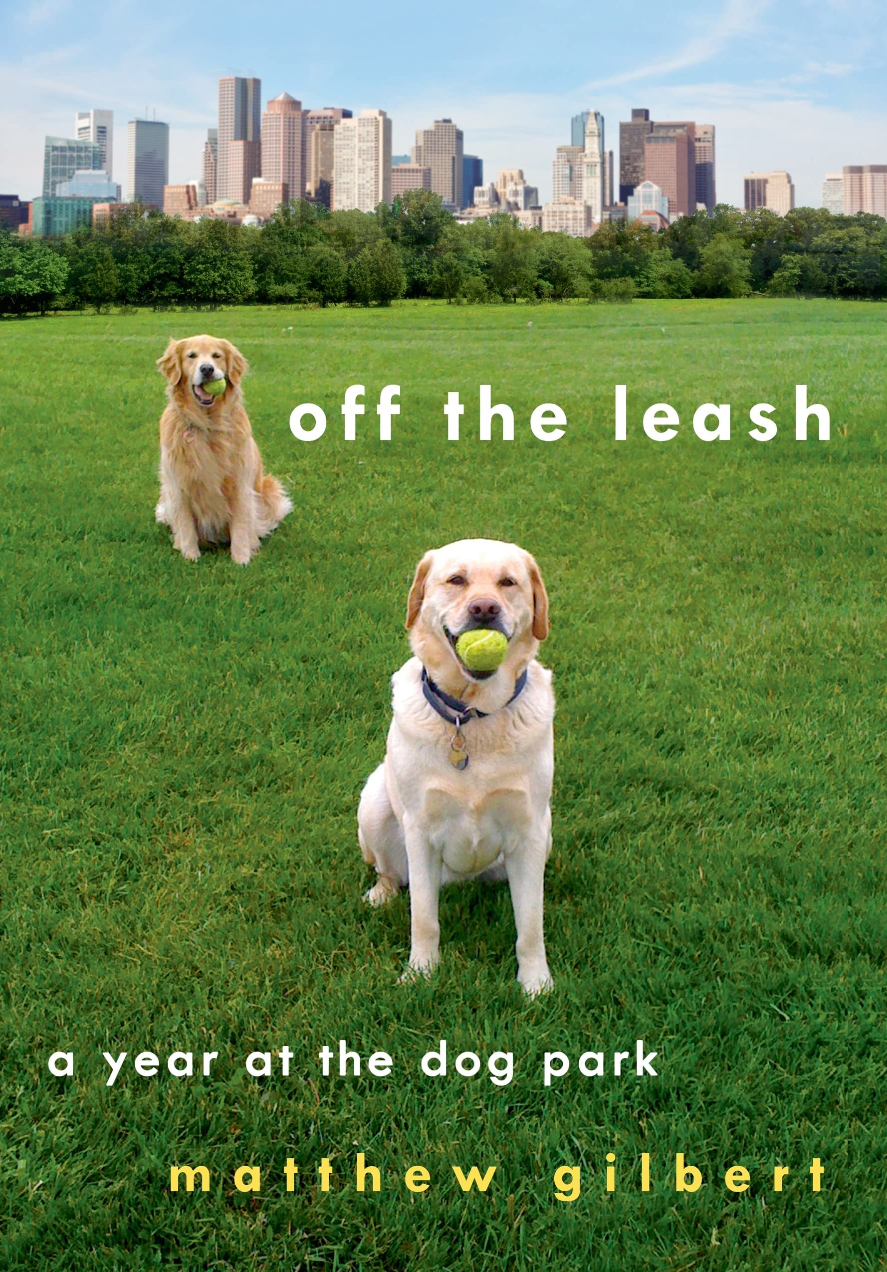 Off the Leash: A Year at the Dog Park Art & Literature