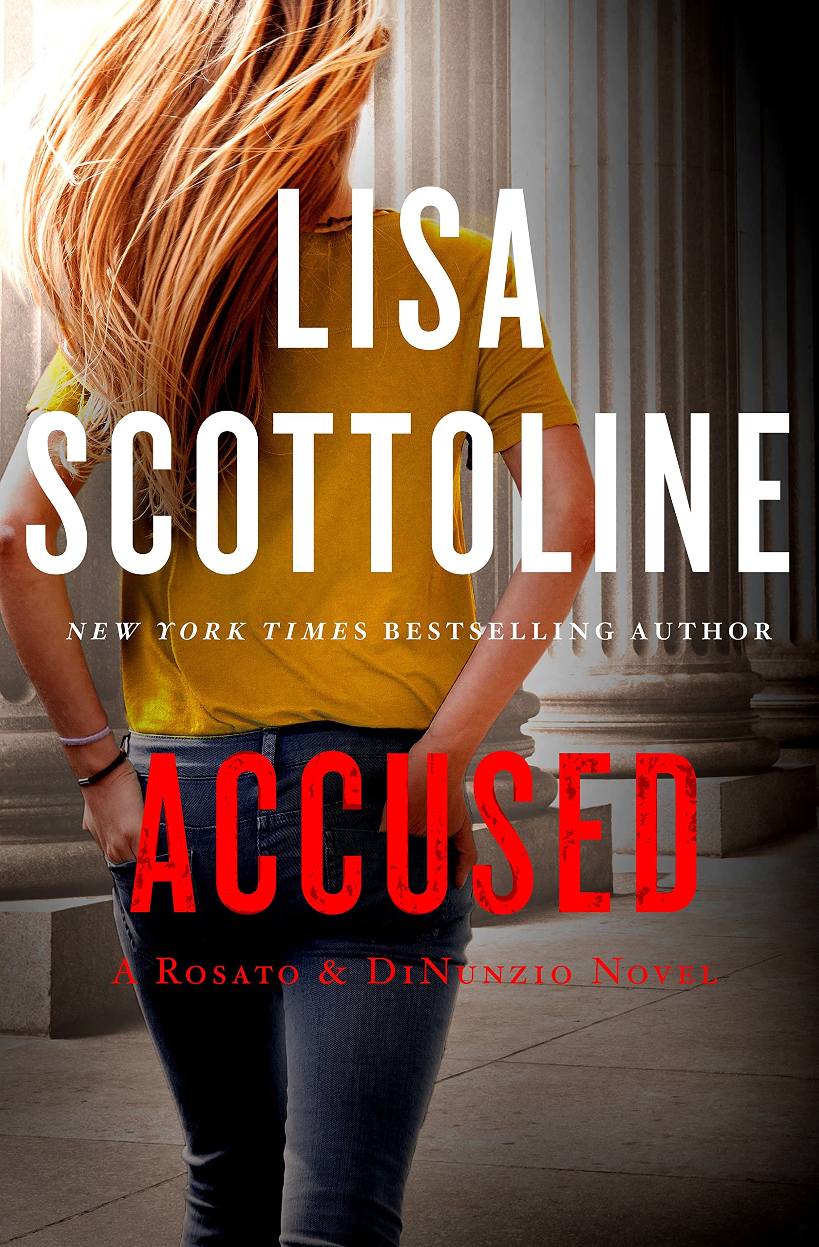Accused: A Rosato & Dinunzio Novel Poetry