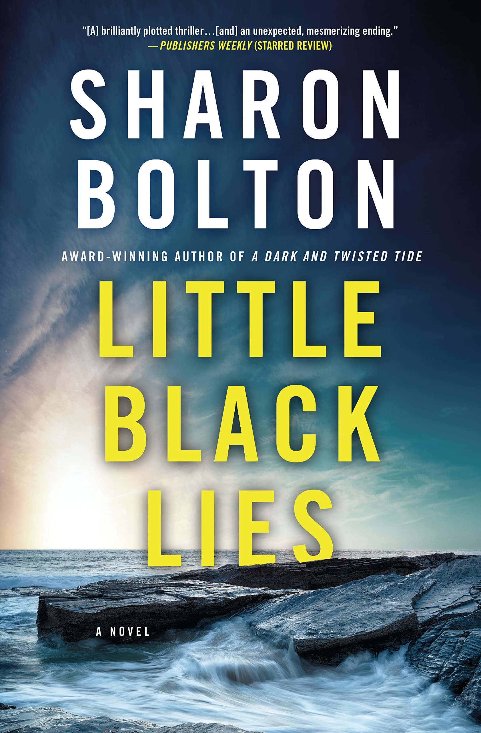 Little Black Lies book