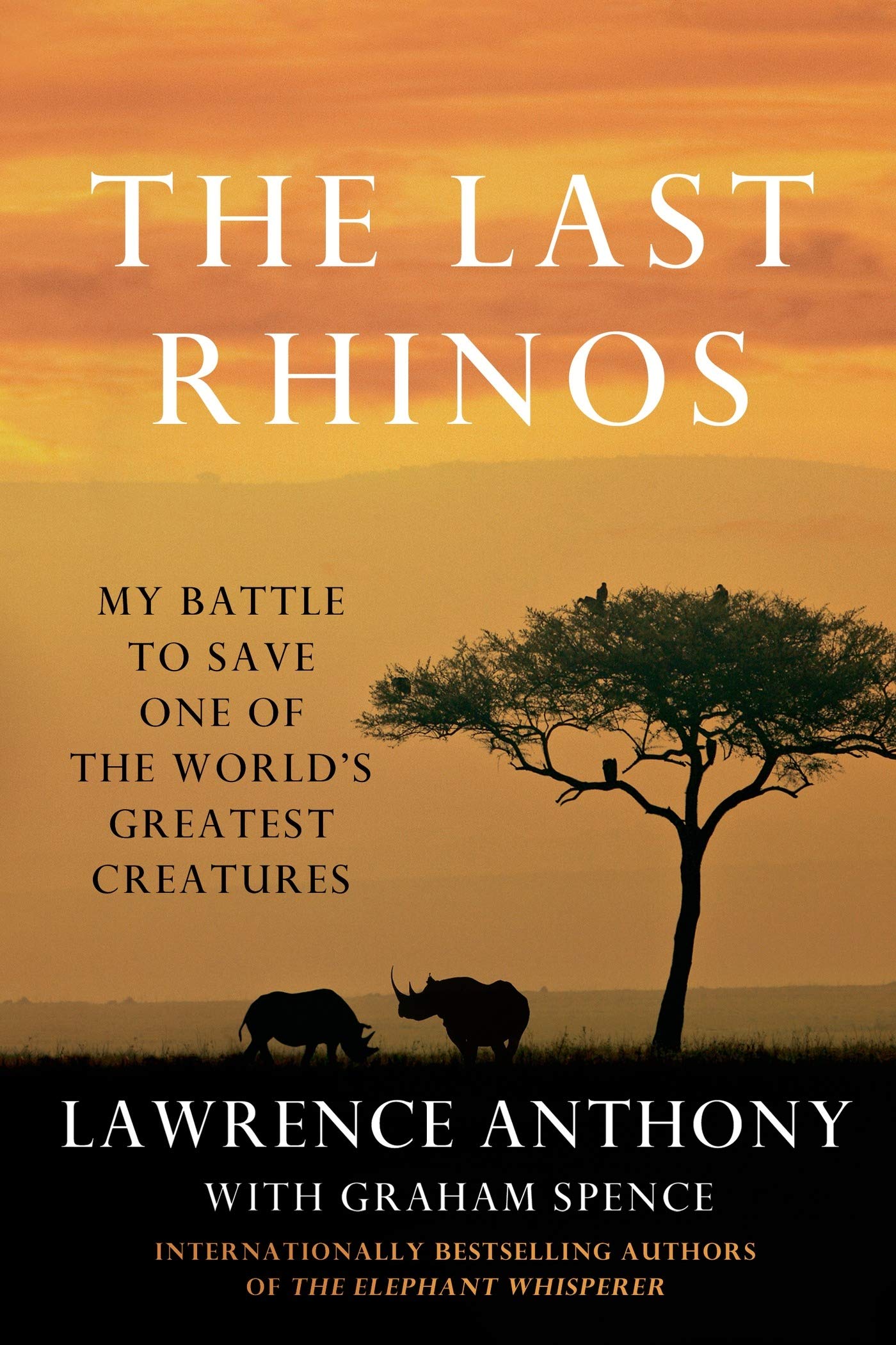Last Rhinos: My Battle to Save One of the World's Greatest Creatures Sports