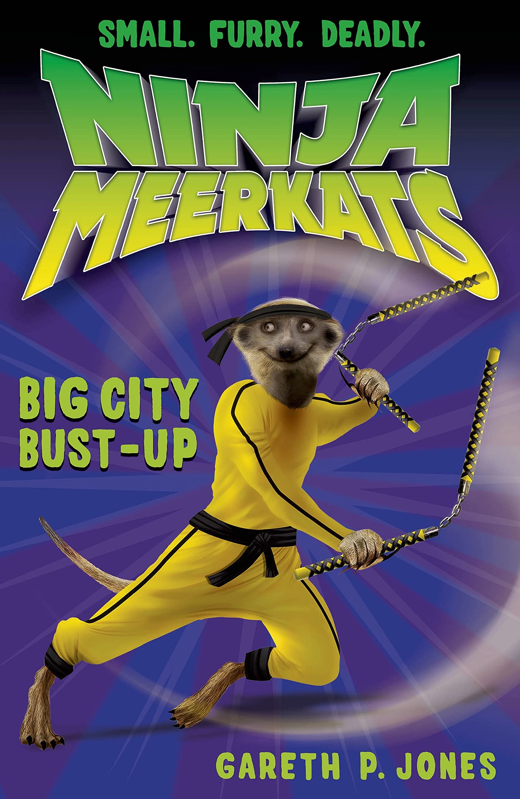 Ninja Meerkats (#6): Big City Bust-Up Leisure & Fun