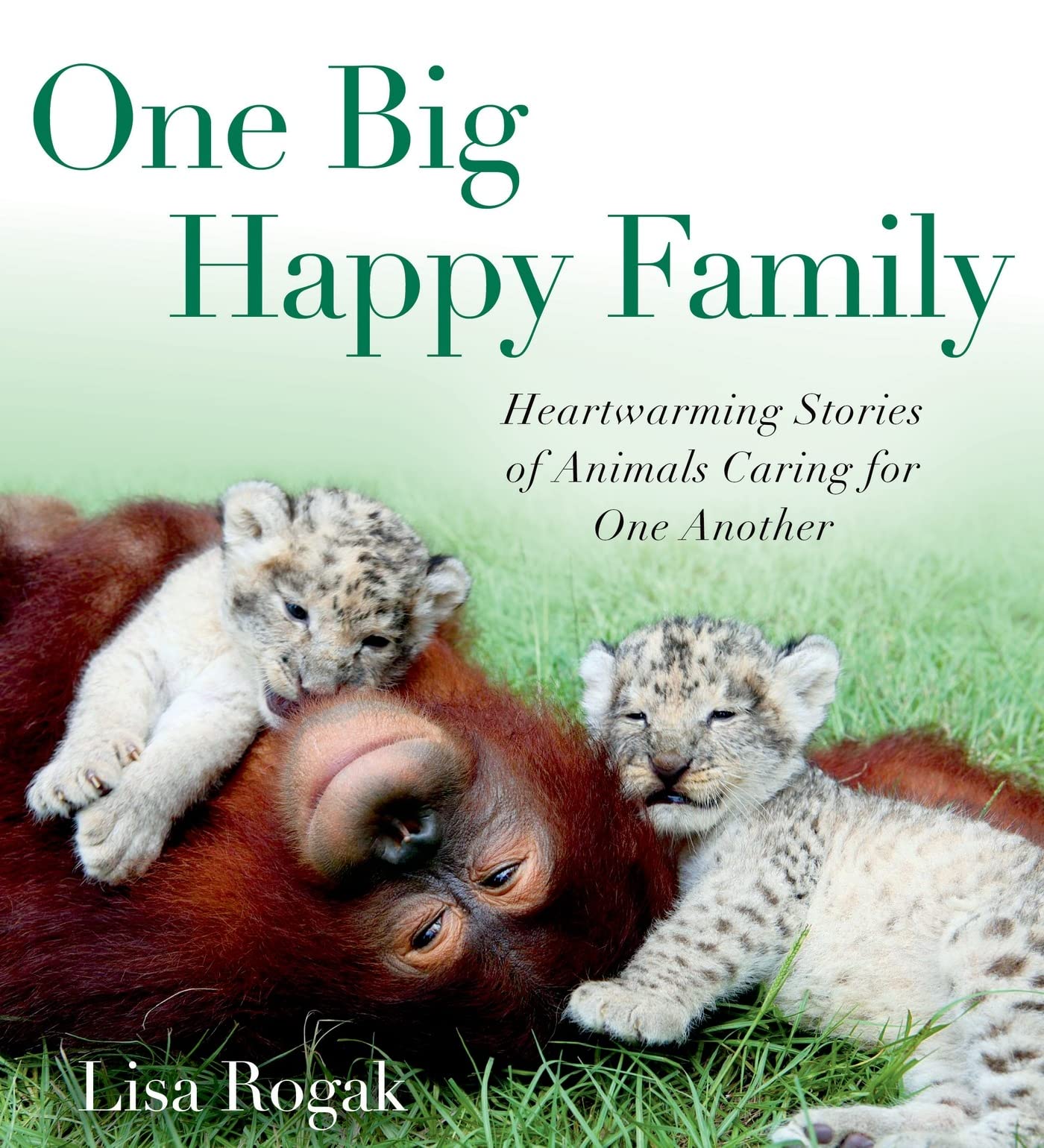 One Big Happy Family: Heartwarming Stories of Animals Caring for One Another Mathematics