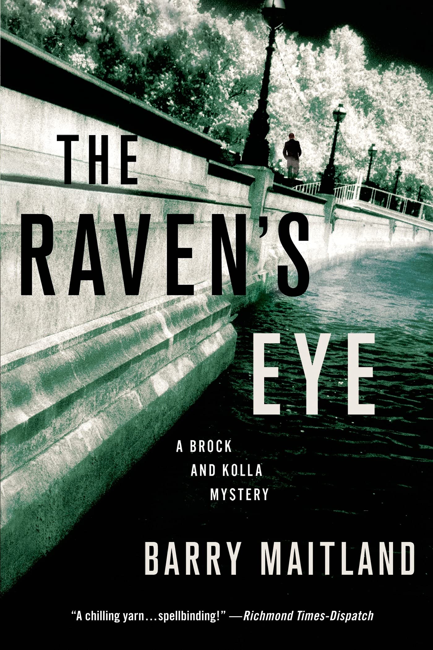 RAVEN'S EYE Contemporary literature Books