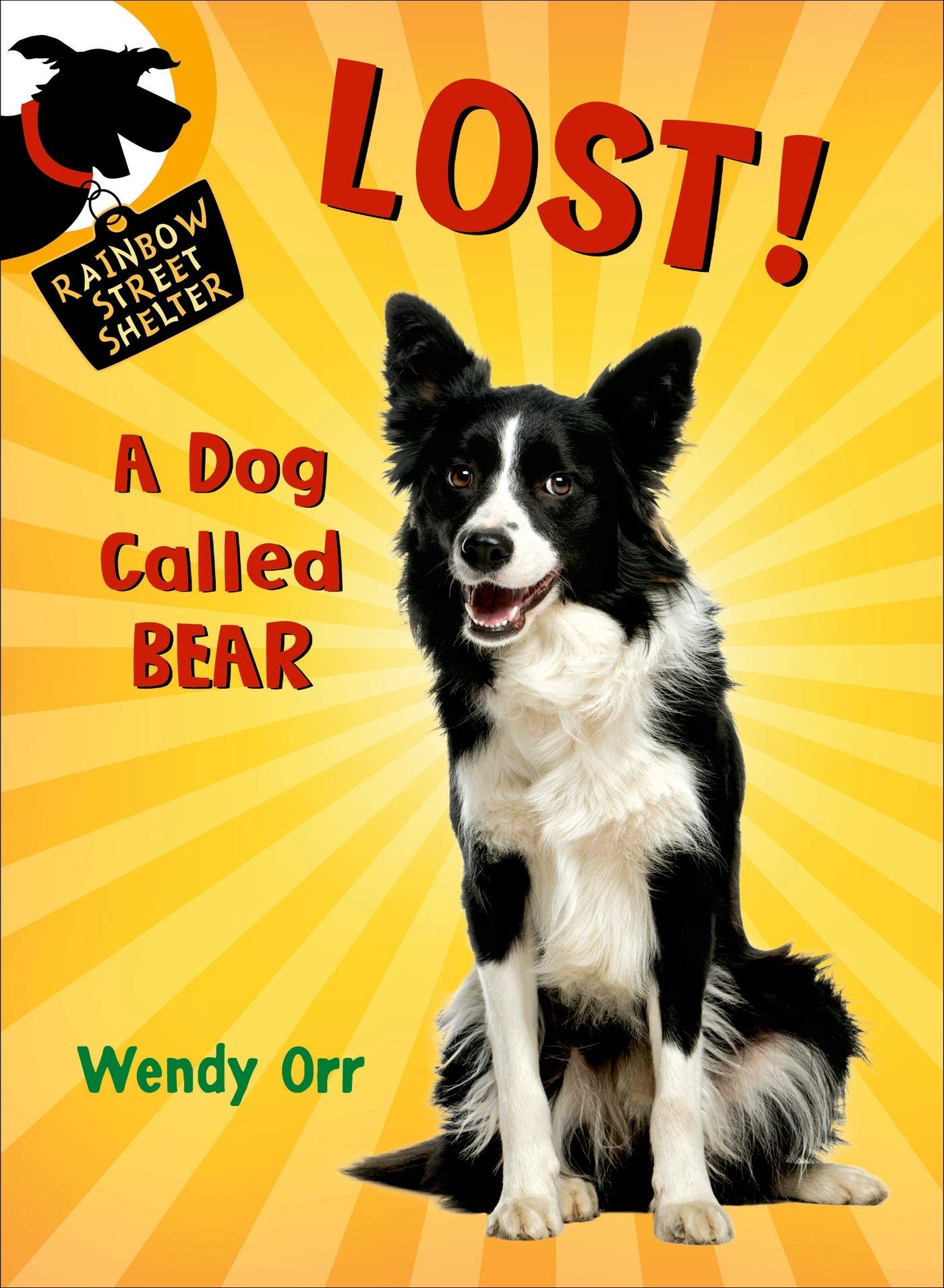 Lost! a Dog Called Bear (Rainbow Street Shelter, 1, Band 1) Novels & Short Stories