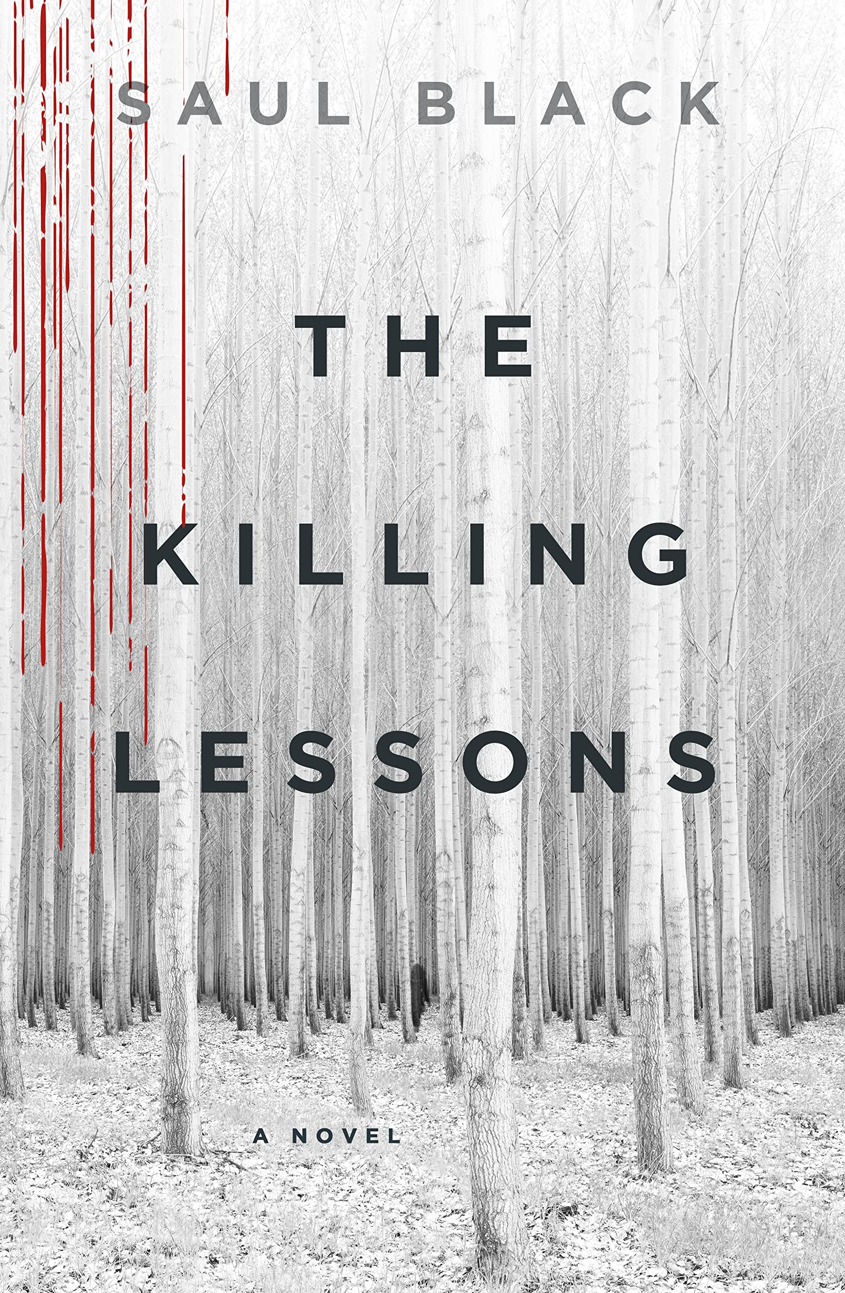 The Killing Lessons: A Novel Contemporary literature Books