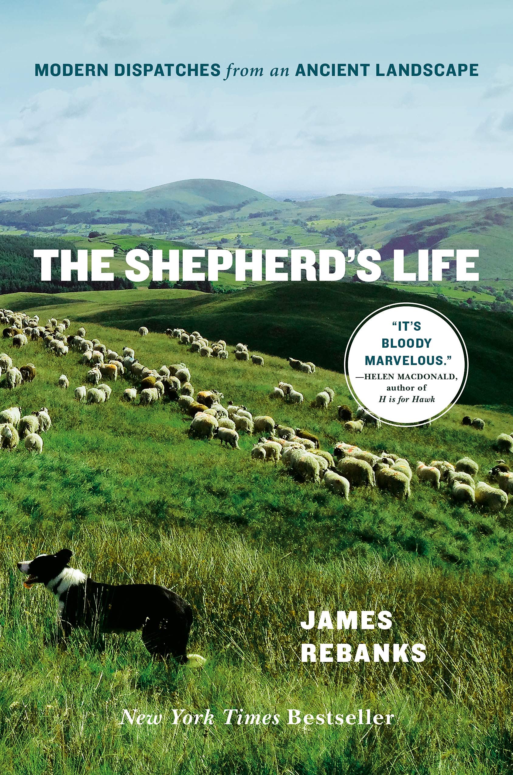 The Shepherd's Life: Modern Dispatches from an Ancient Landscape book