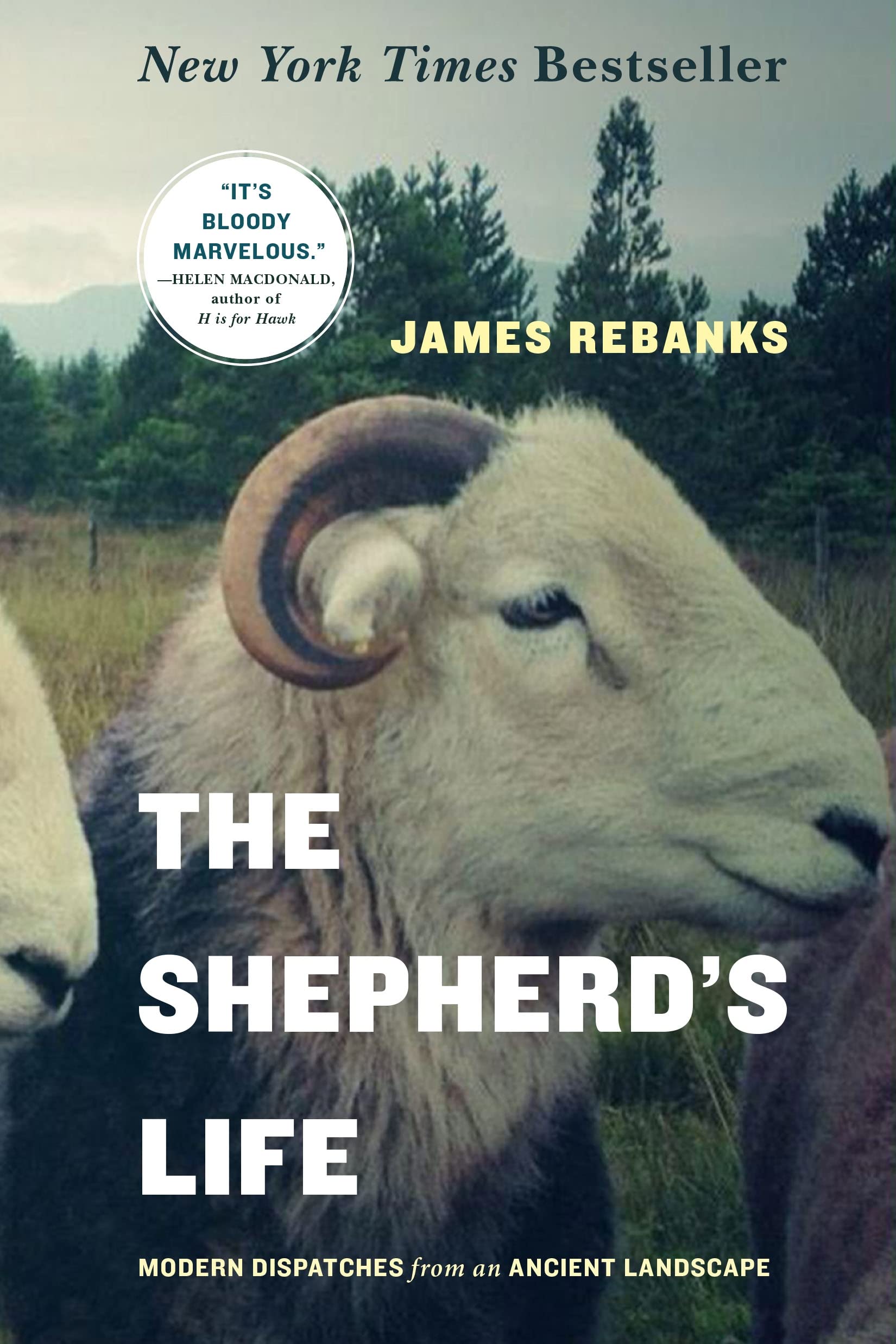 Product Image: The Shepherd's Life