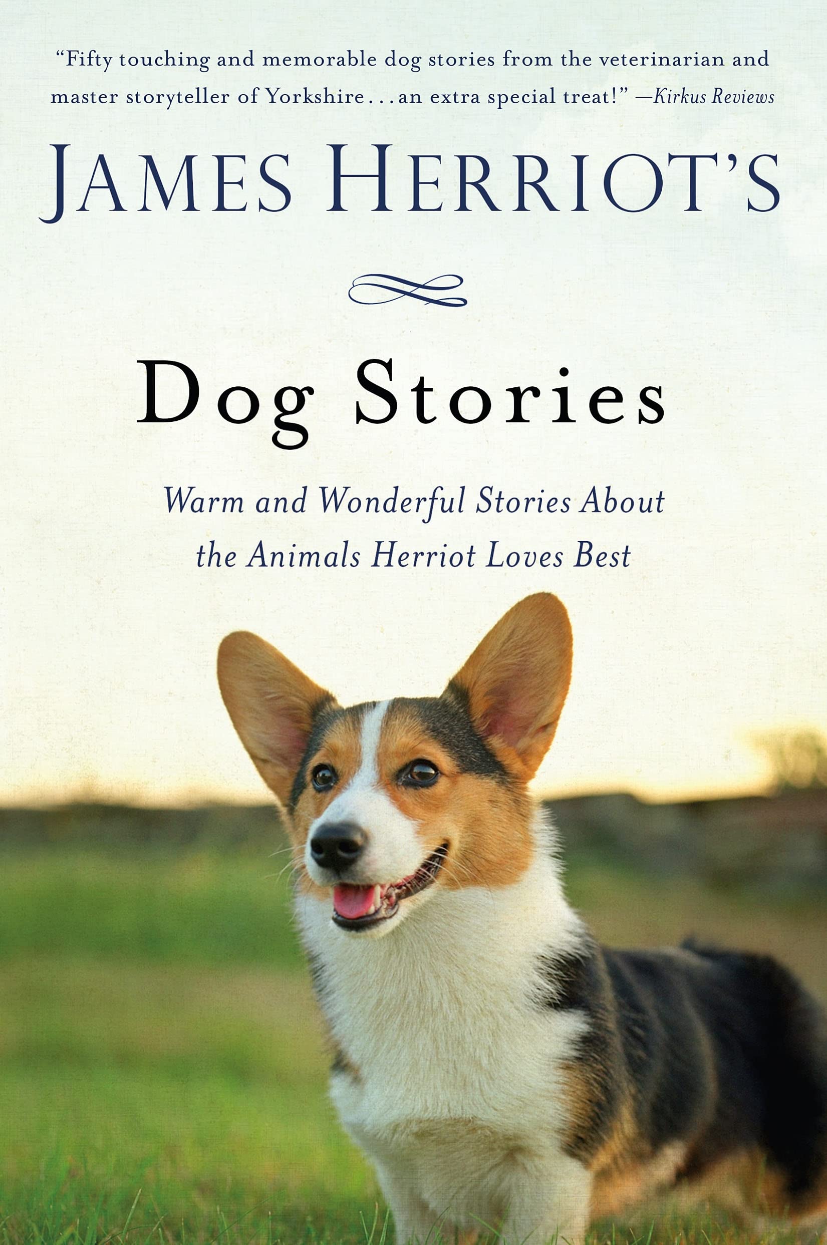 James Herriot's Dog Stories Pets