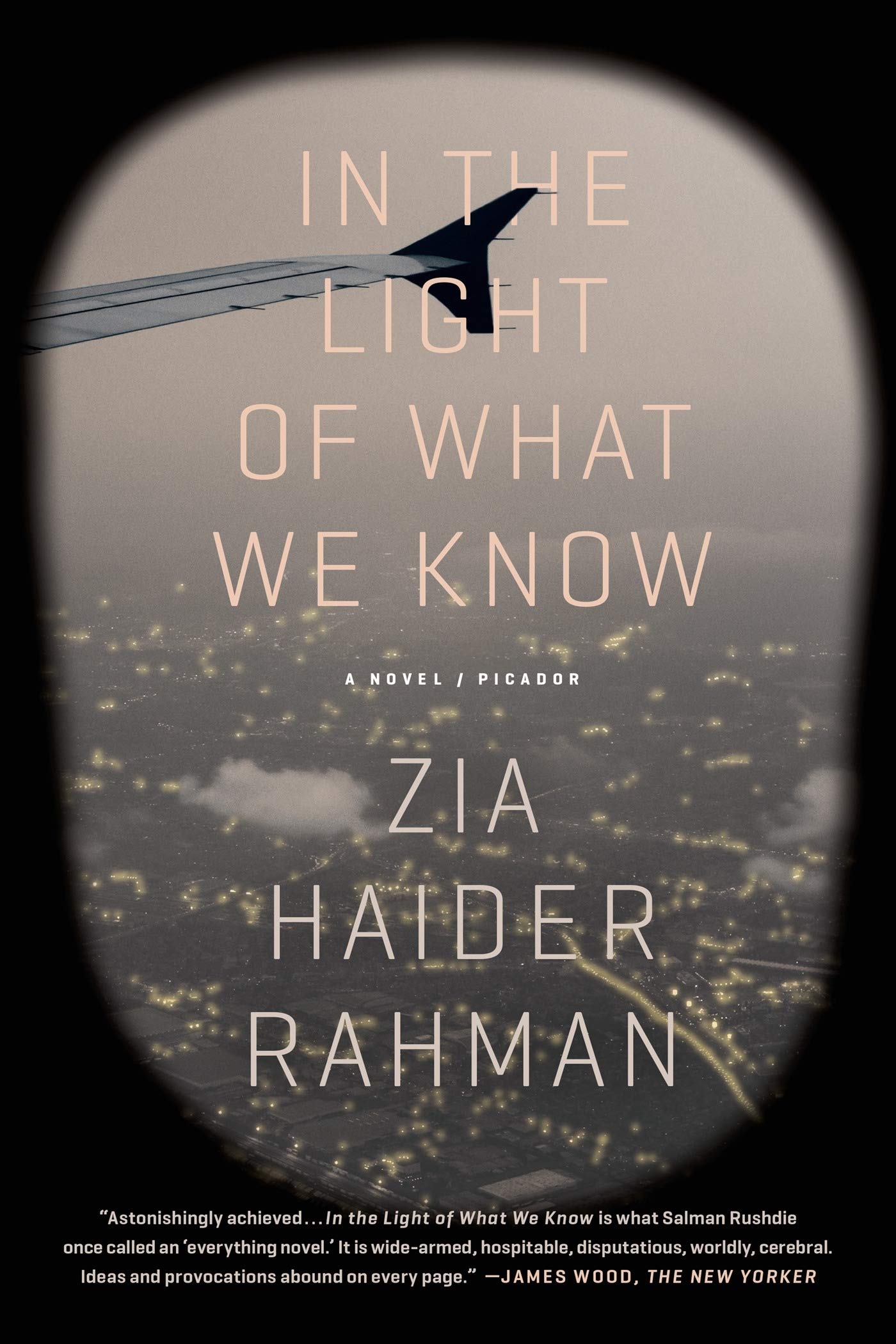 In the Light of What We Know book