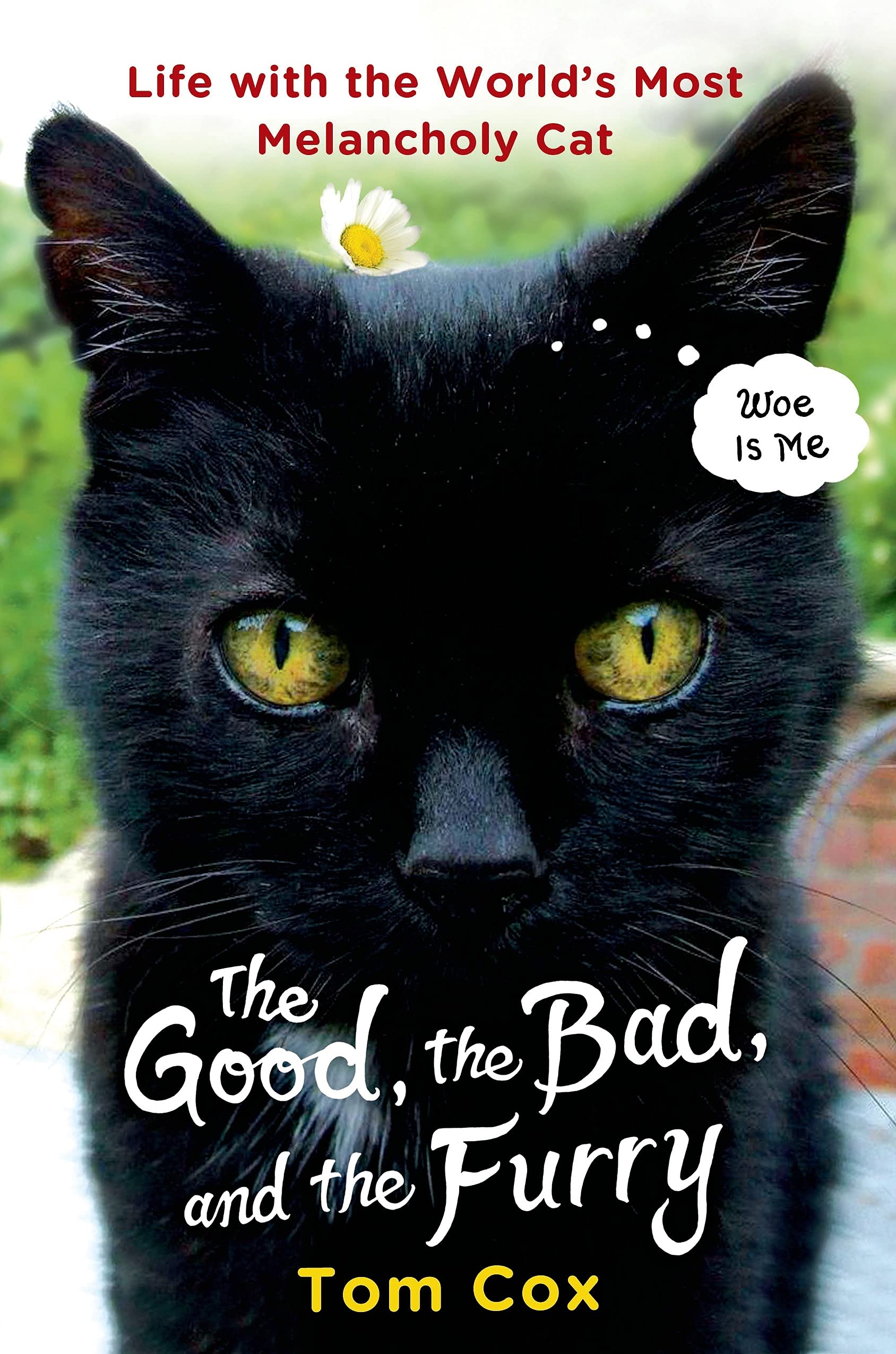 The Good, the Bad and the Furry: Life With the World's Most Melancholy Cat Pets
