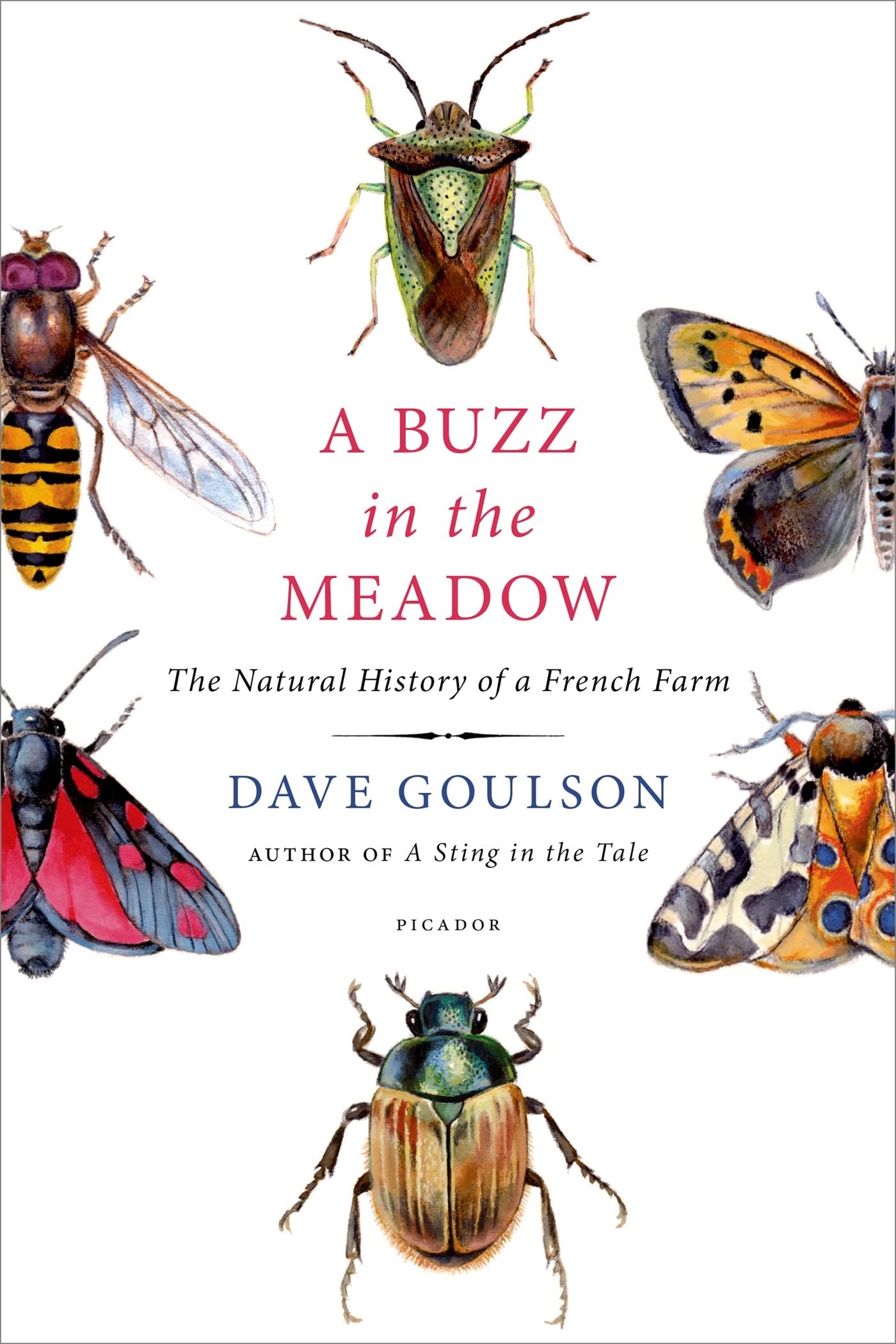 A Buzz in the Meadow: The Natural History of a French Farm book