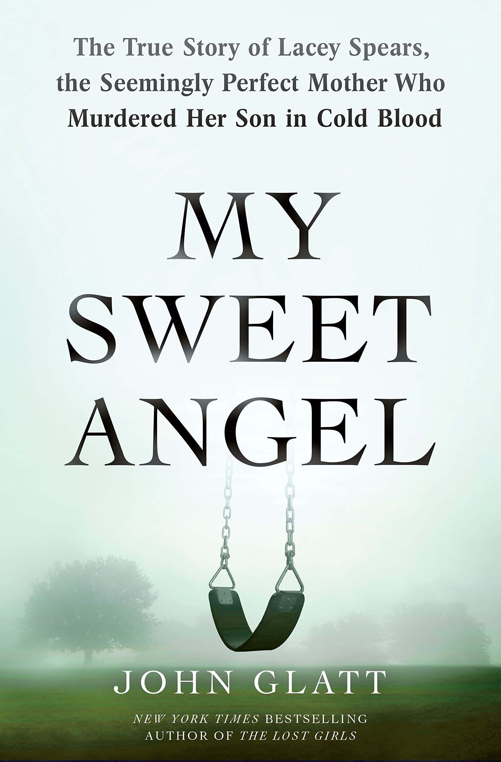 My Sweet Angel: The True Story of Lacey Spears, the Seemingly Perfect Mother Who Murdered Her Son in Cold Blood Politics & Society Books
