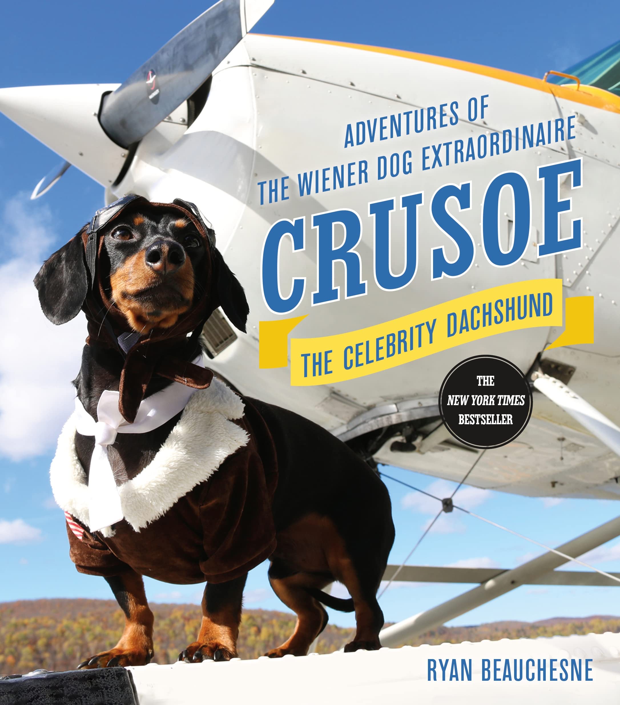 Crusoe, the Celebrity Dachshund Nature & Animals