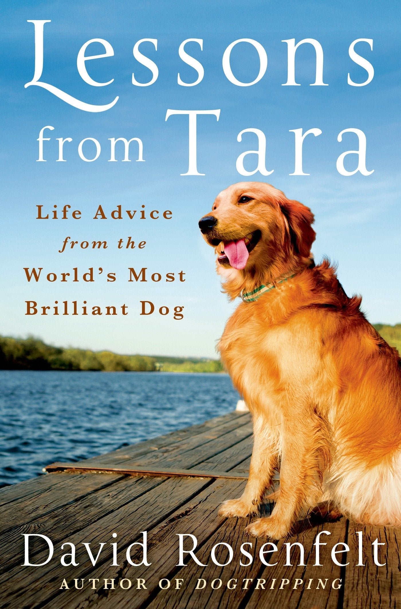 Lessons from Tara: Life Advice from the World's Most Brilliant Dog Pets