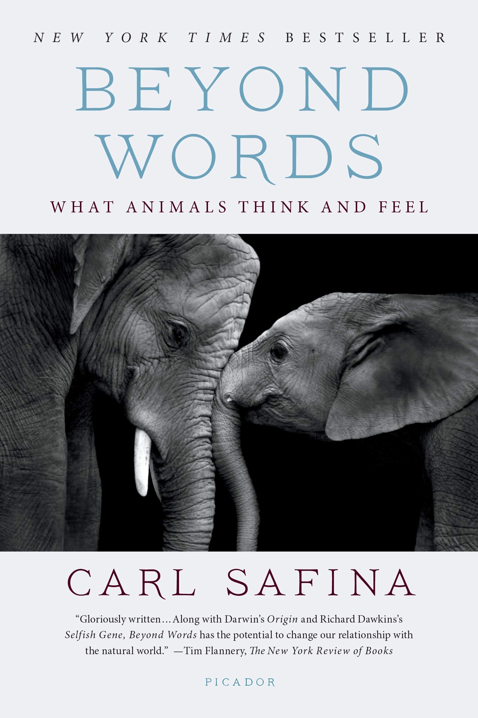 Beyond Words: What Animals Think and Feel Mathematics