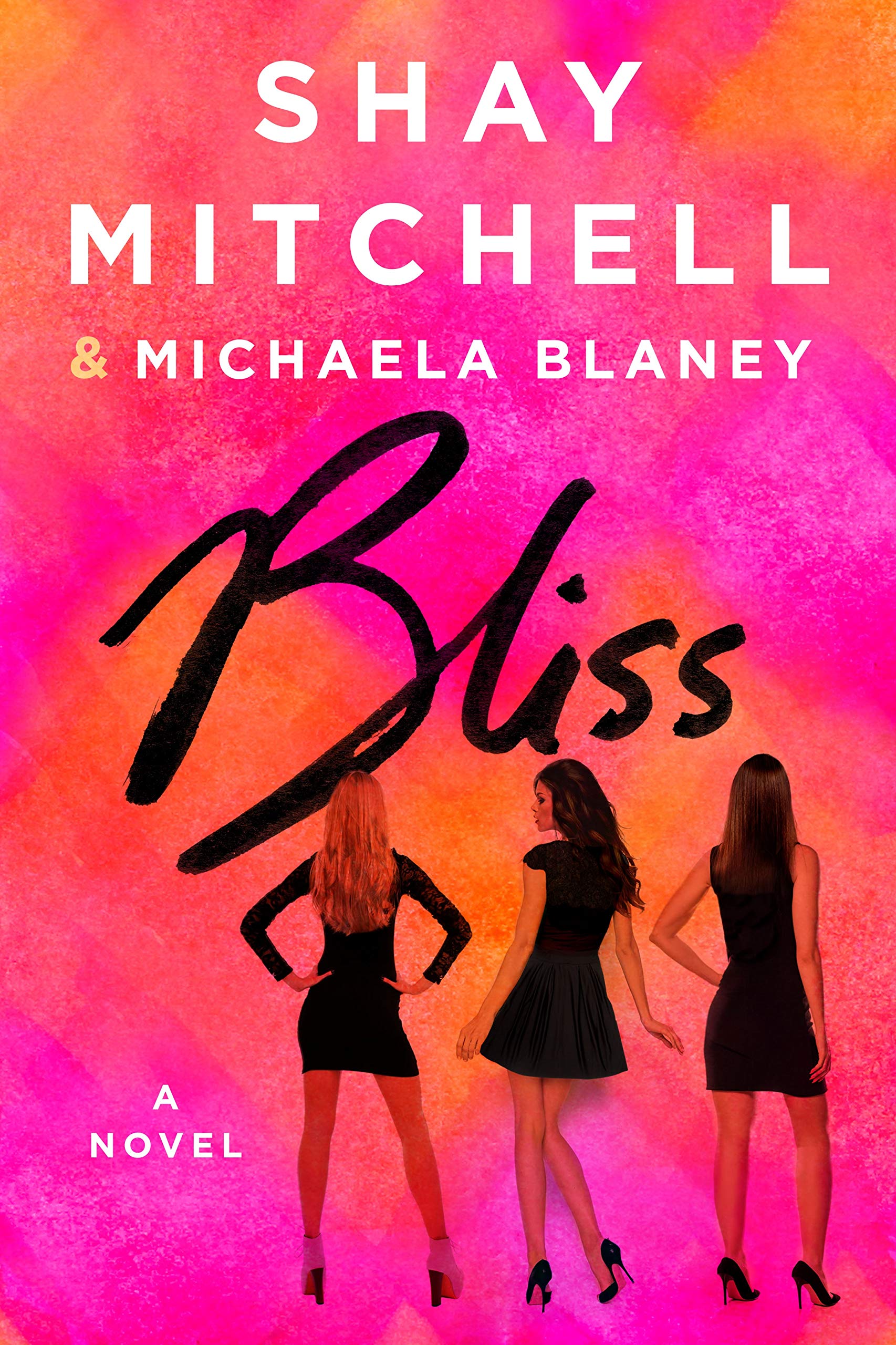 Bliss: A Novel Contemporary literature