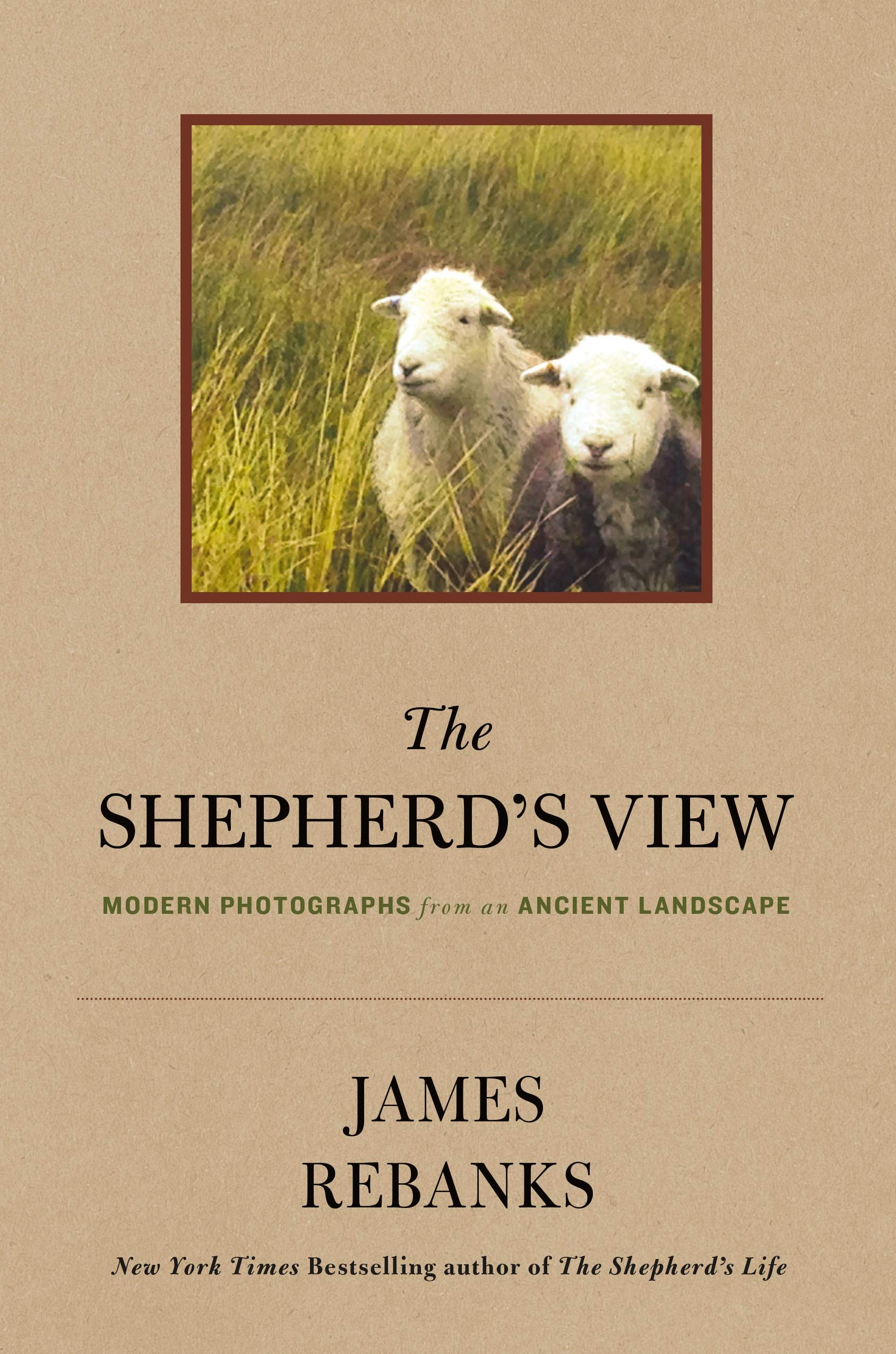The Shepherd's View: Modern Photographs from an Ancient Landscape book