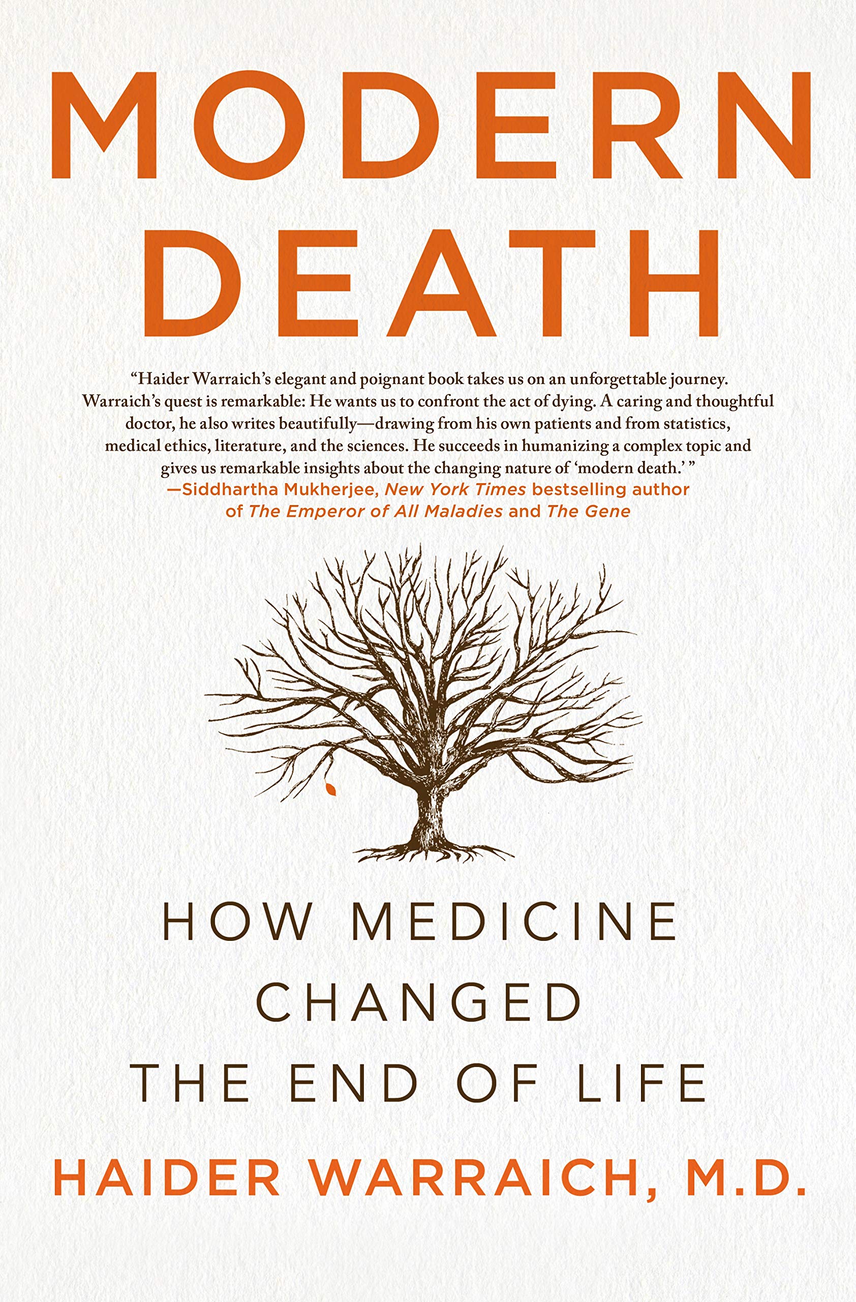 Modern Death: How Medicine Changed the End of Life Medicine