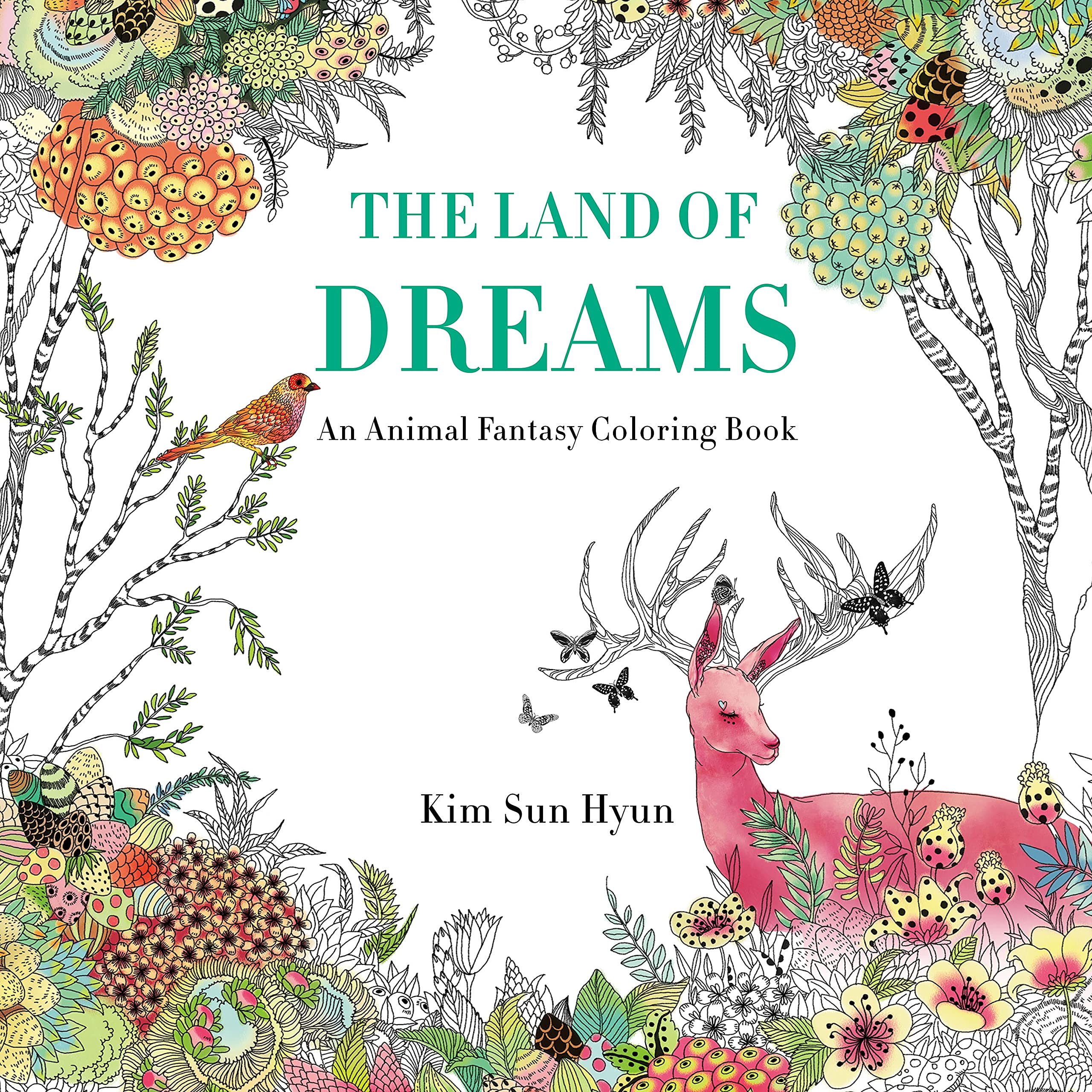 The Land of Dreams: An Animal Fantasy Coloring Book Hobbies & Crafts
