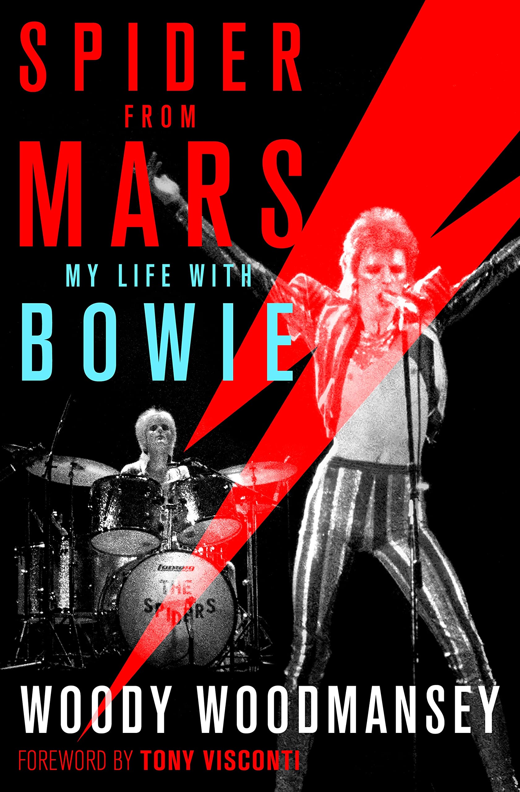 Spider from Mars: My Life with Bowie Pop culture