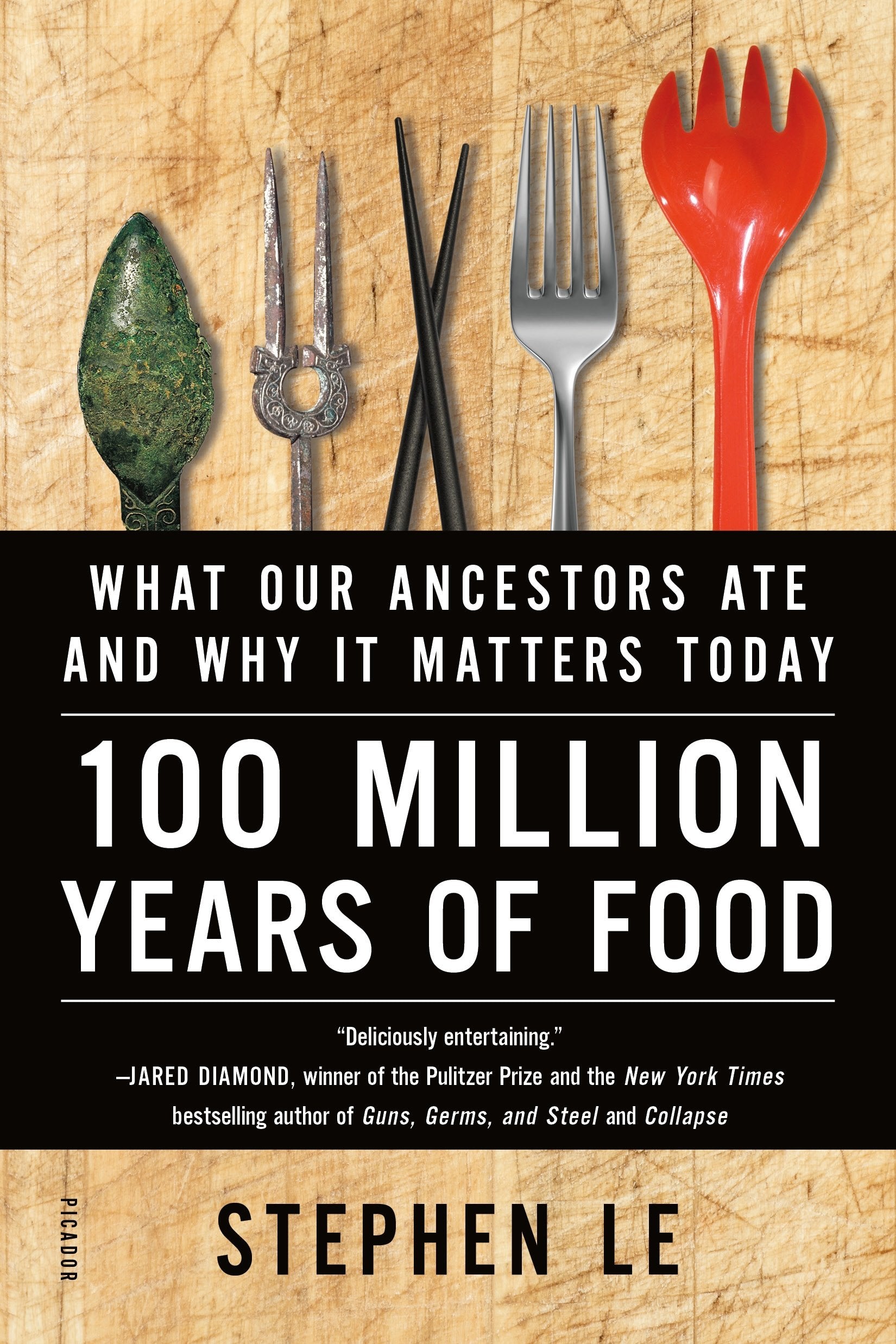 100 Million Years of Food book