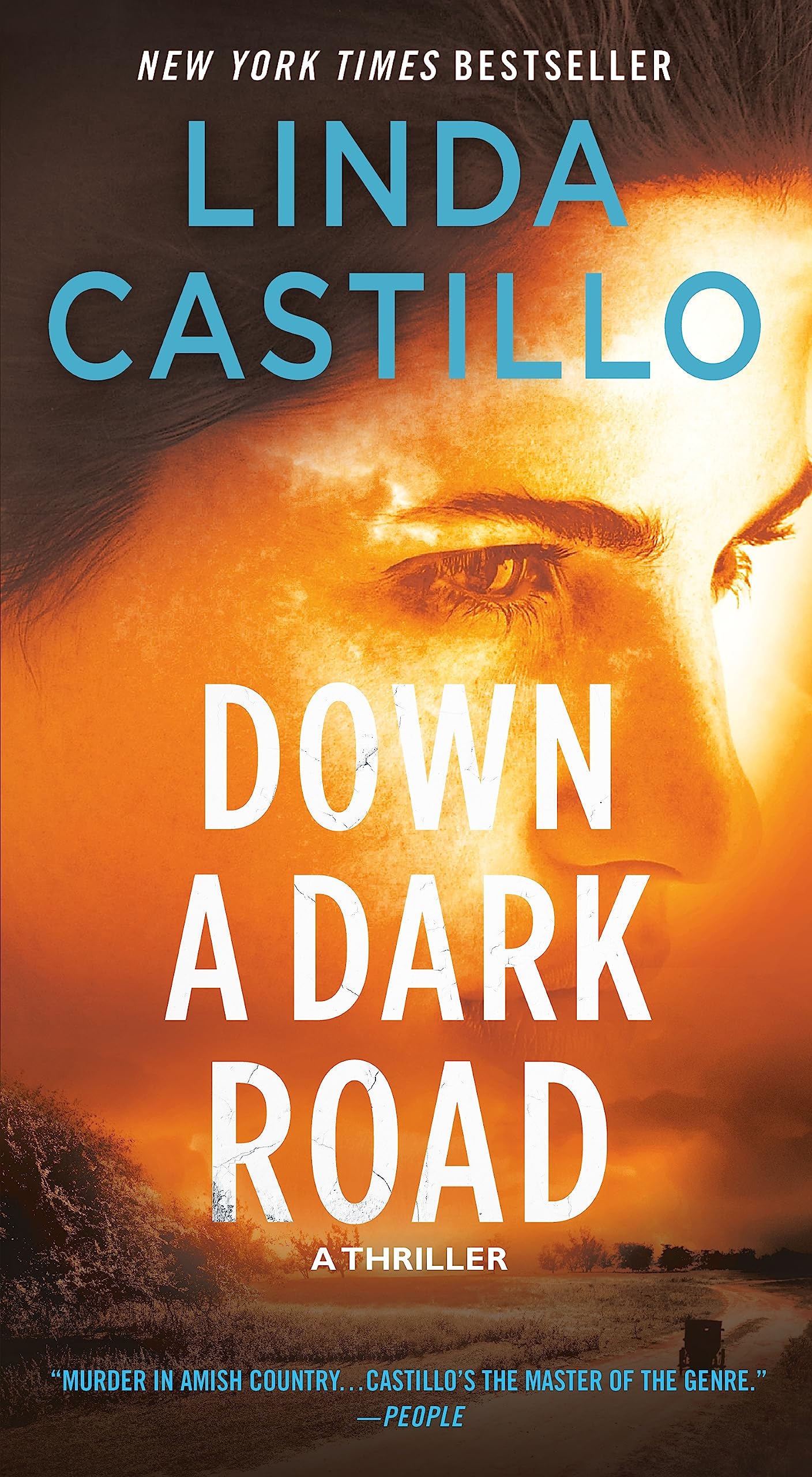 Down a Dark Road: A Thriller (Kate Burkholder) Action & Adventure
