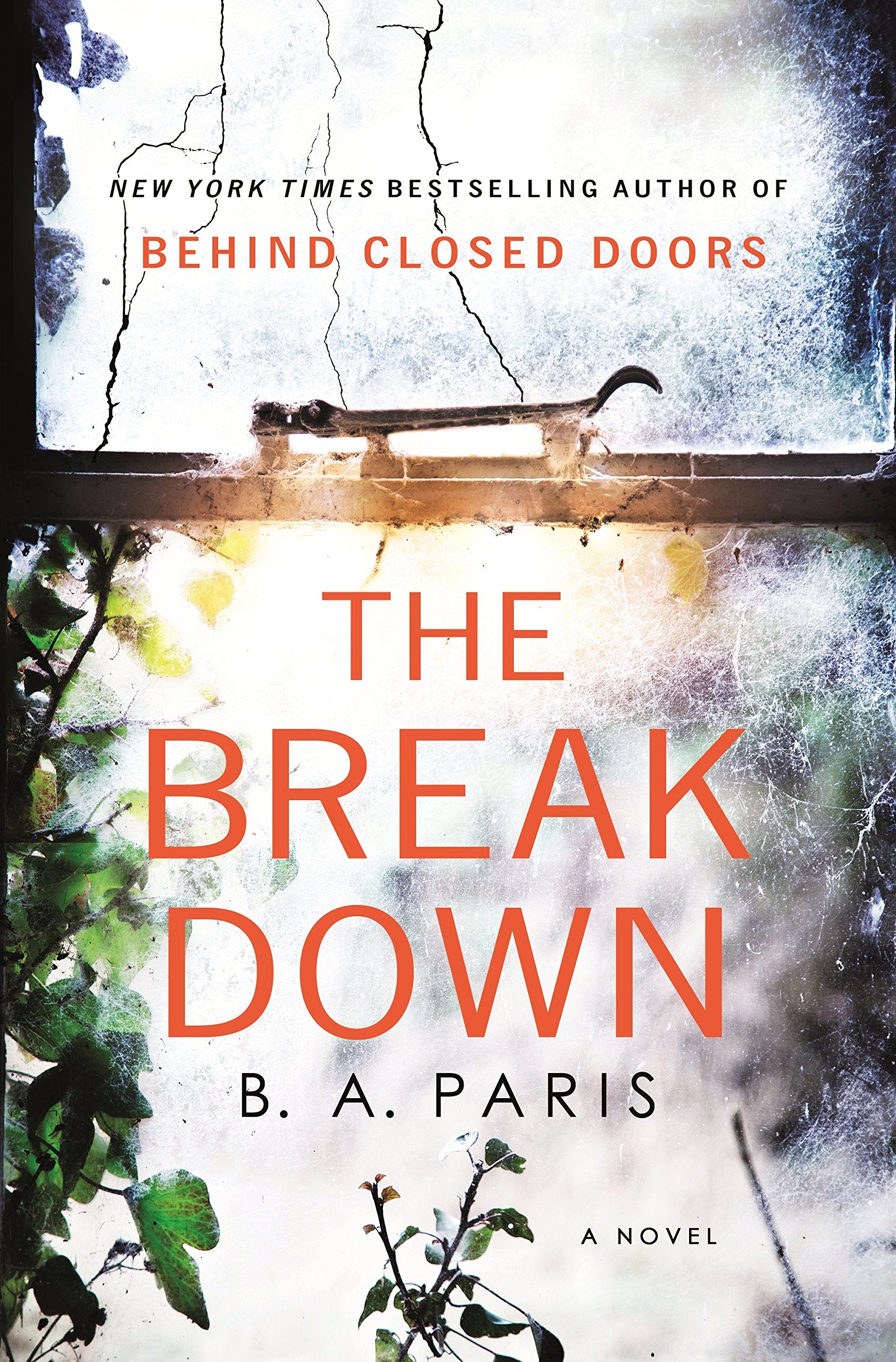 The Breakdown Contemporary literature Books