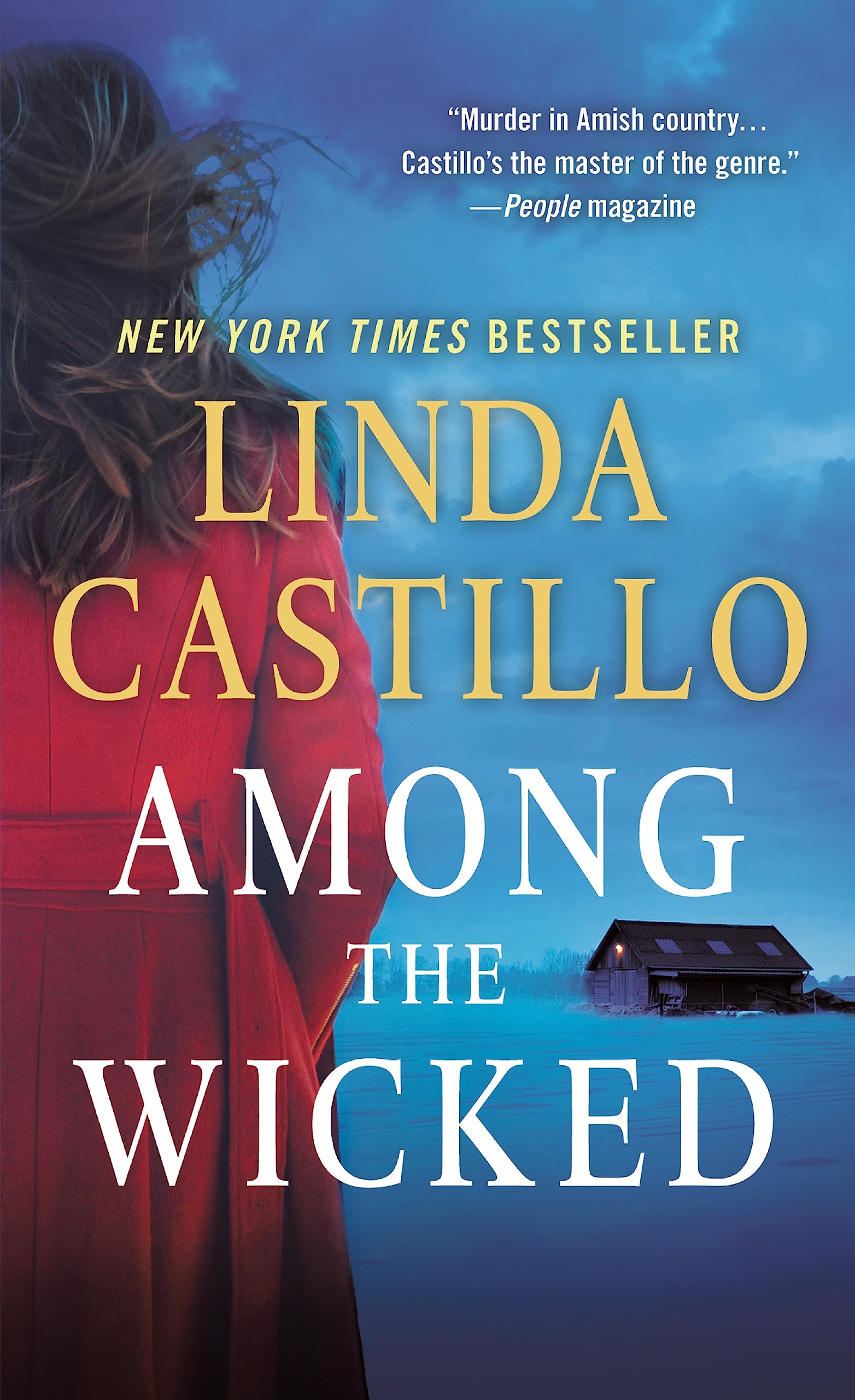 Among the Wicked: A Kate Burkholder Novel (Kate Burkholder, 8, Band 8) Contemporary literature