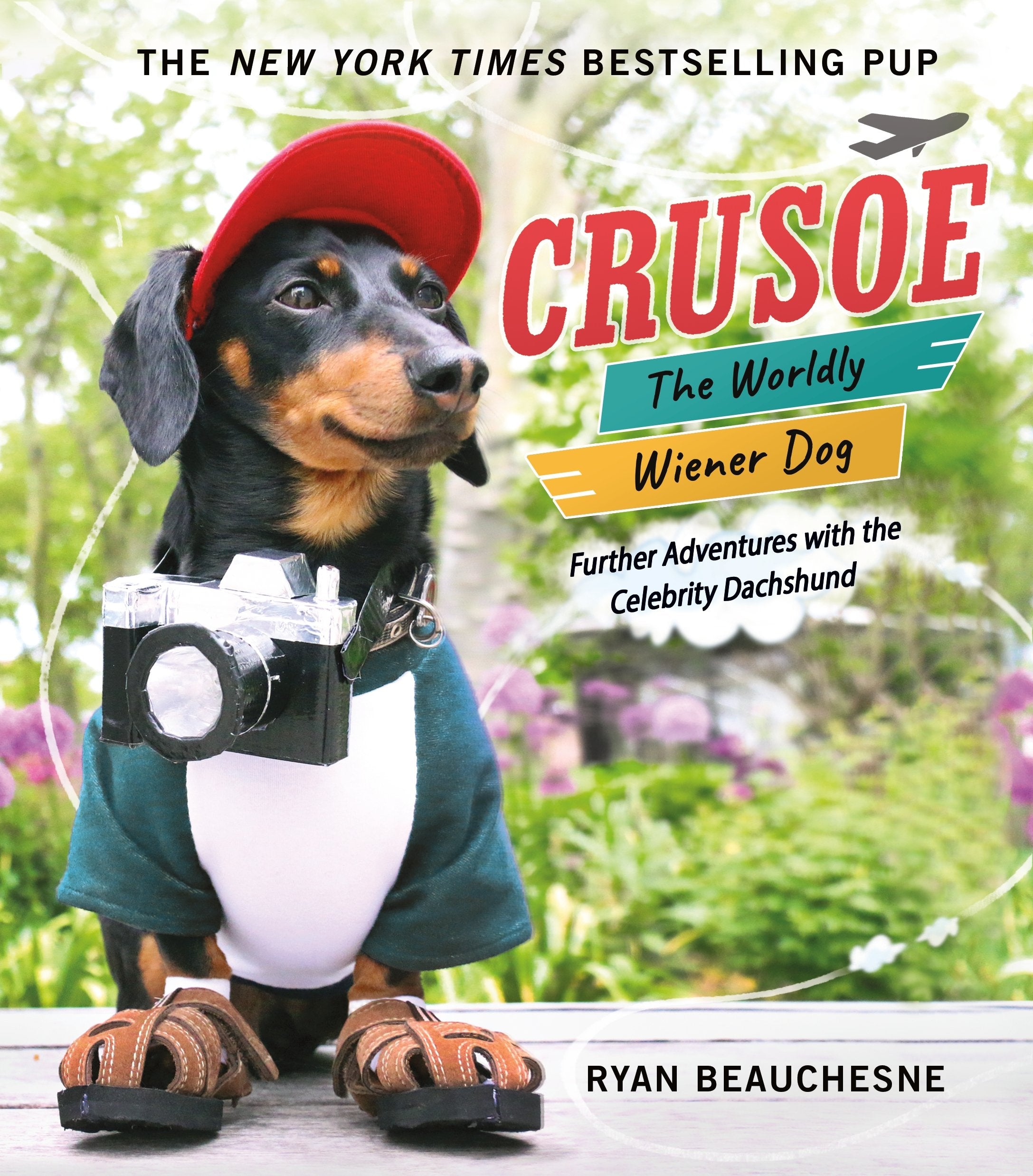 Crusoe, the Worldly Wiener Dog Nature & Animals