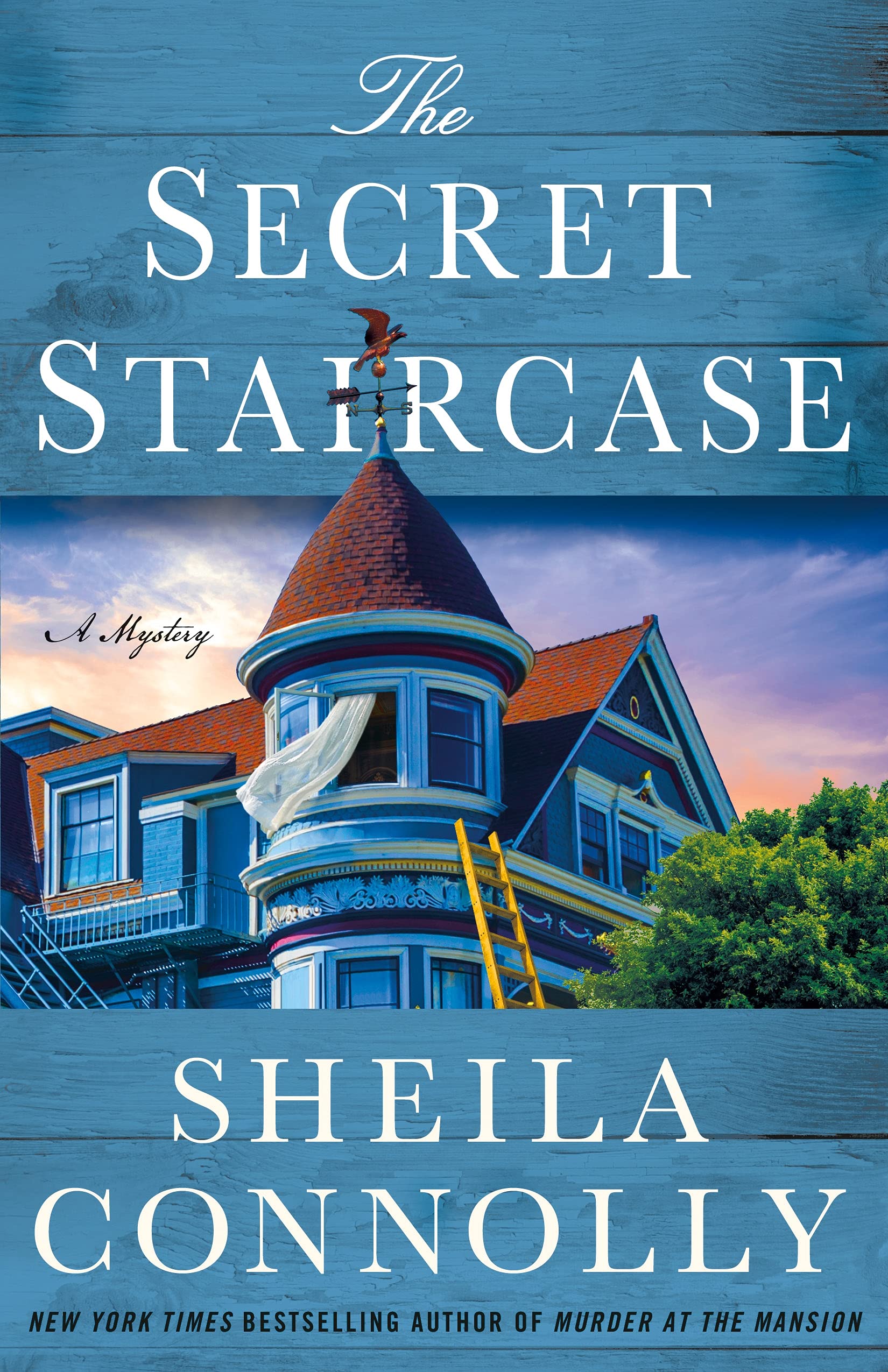 The Secret Staircase (Victorian Village Mysteries, 3, Band 3) Contemporary literature