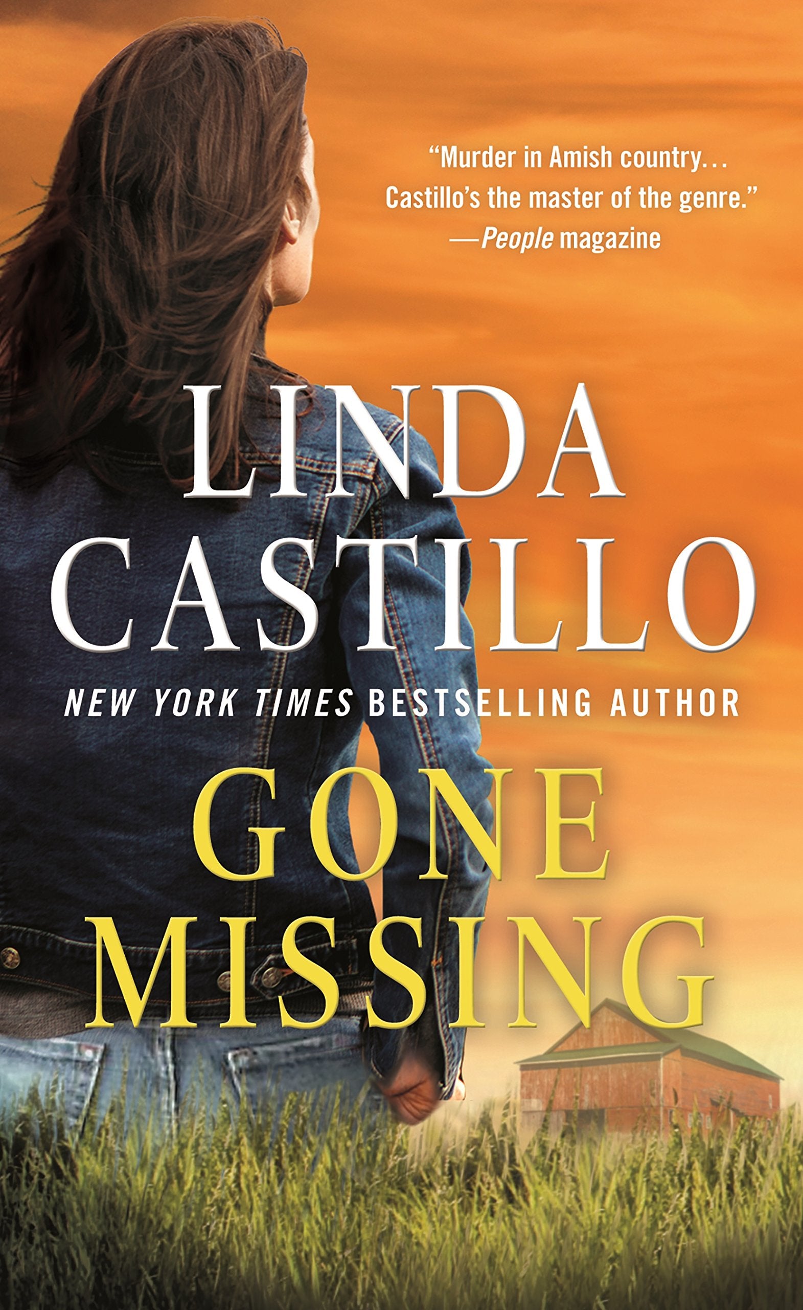 Gone Missing: A Kate Burkholder Novel Detective & CSI