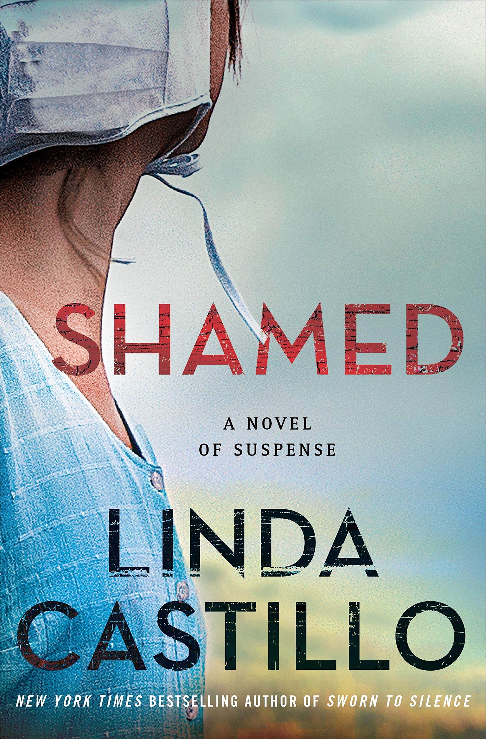 Shamed: A Kate Burkholder Novel (Kate Burkholder, 11, Band 11) Contemporary literature
