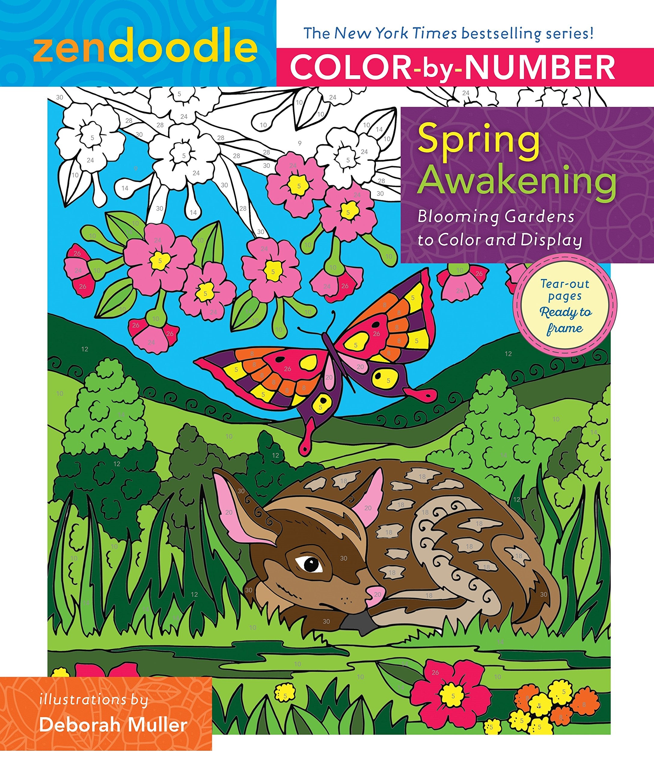 Zendoodle Color-By-Number: Spring Awakening: Blooming Gardens to Color and Display Hobbies & Crafts