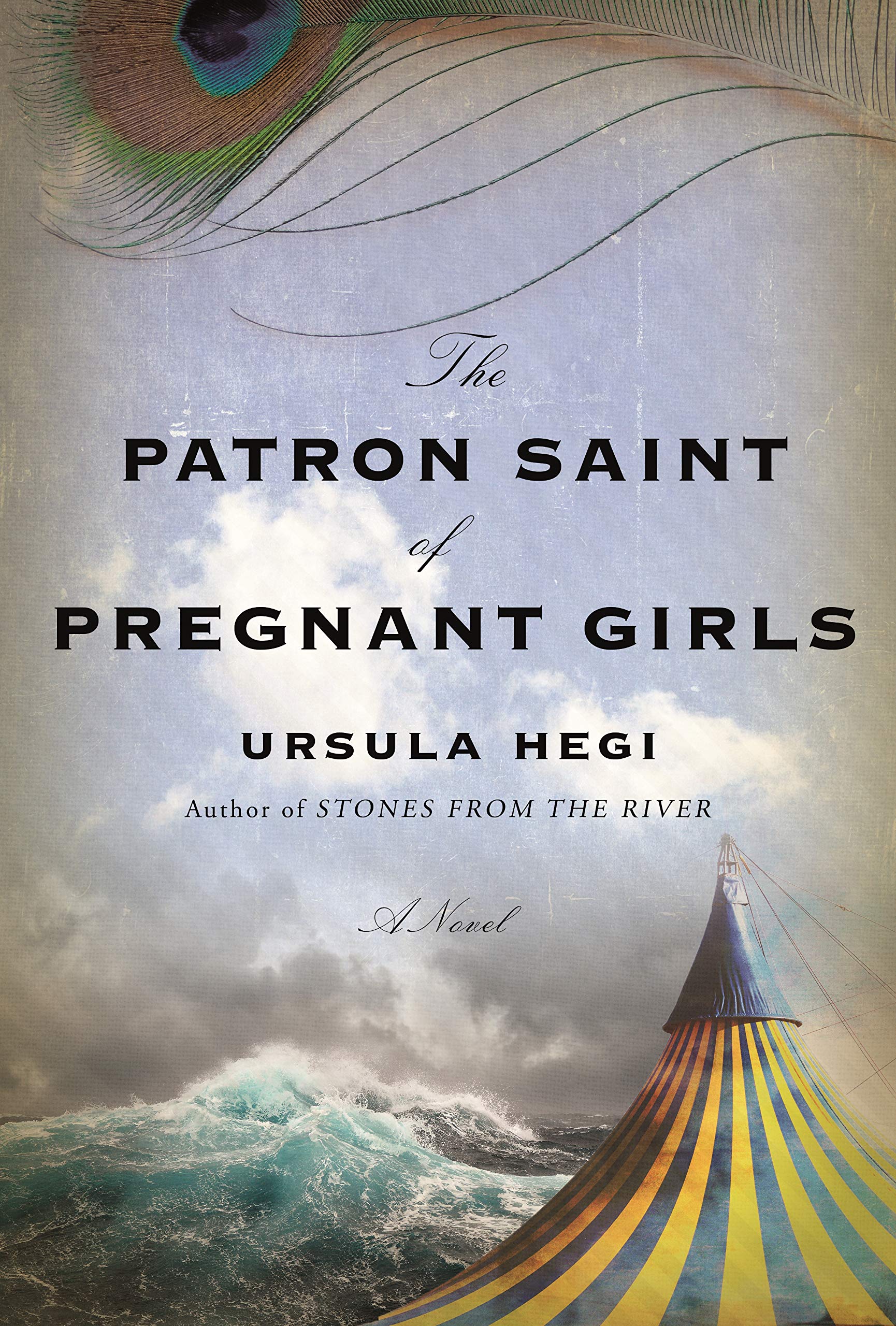 The Patron Saint of Pregnant Girls: A Novel Contemporary literature