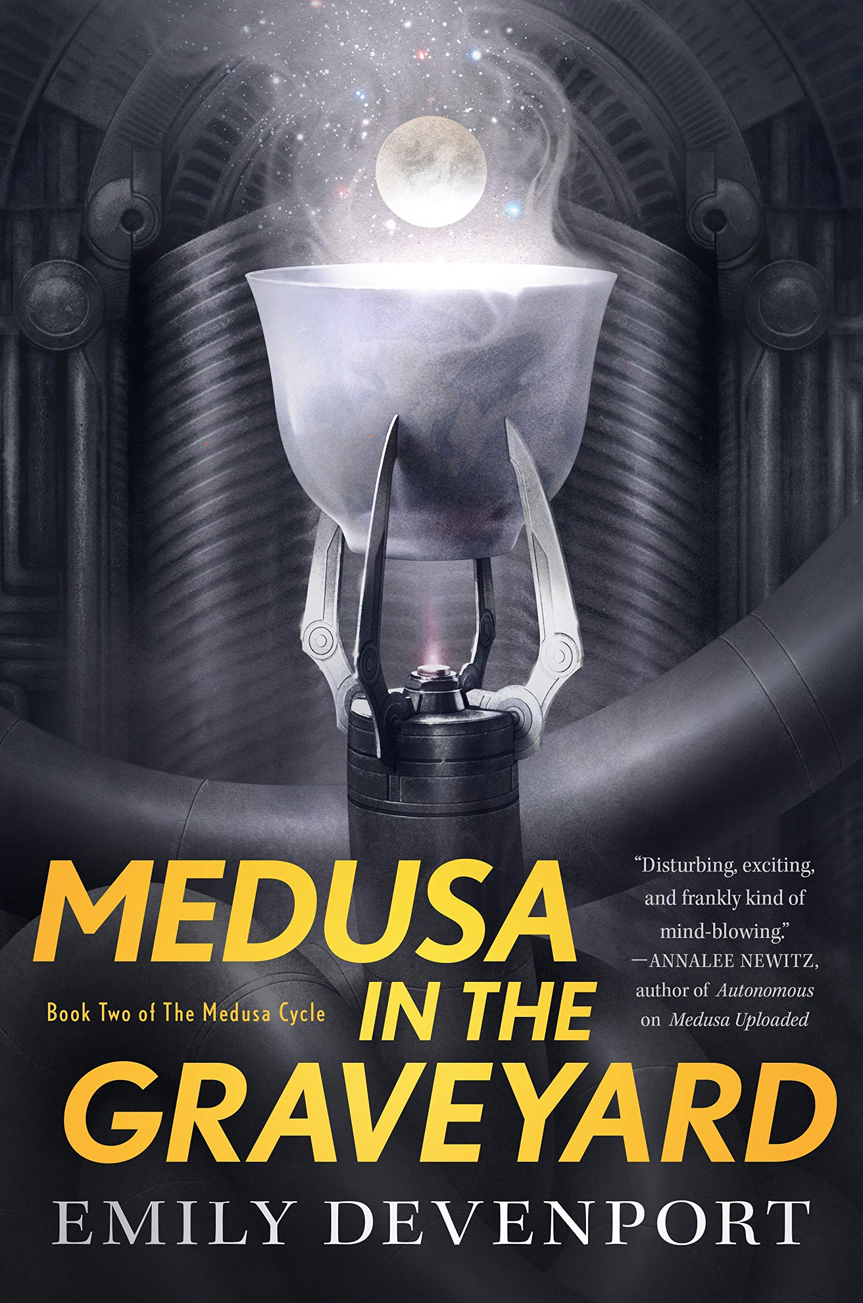 Medusa in the Graveyard: Book Two of the Medusa Cycle (Medusa Cycle, 2, Band 2) Action & Adventure