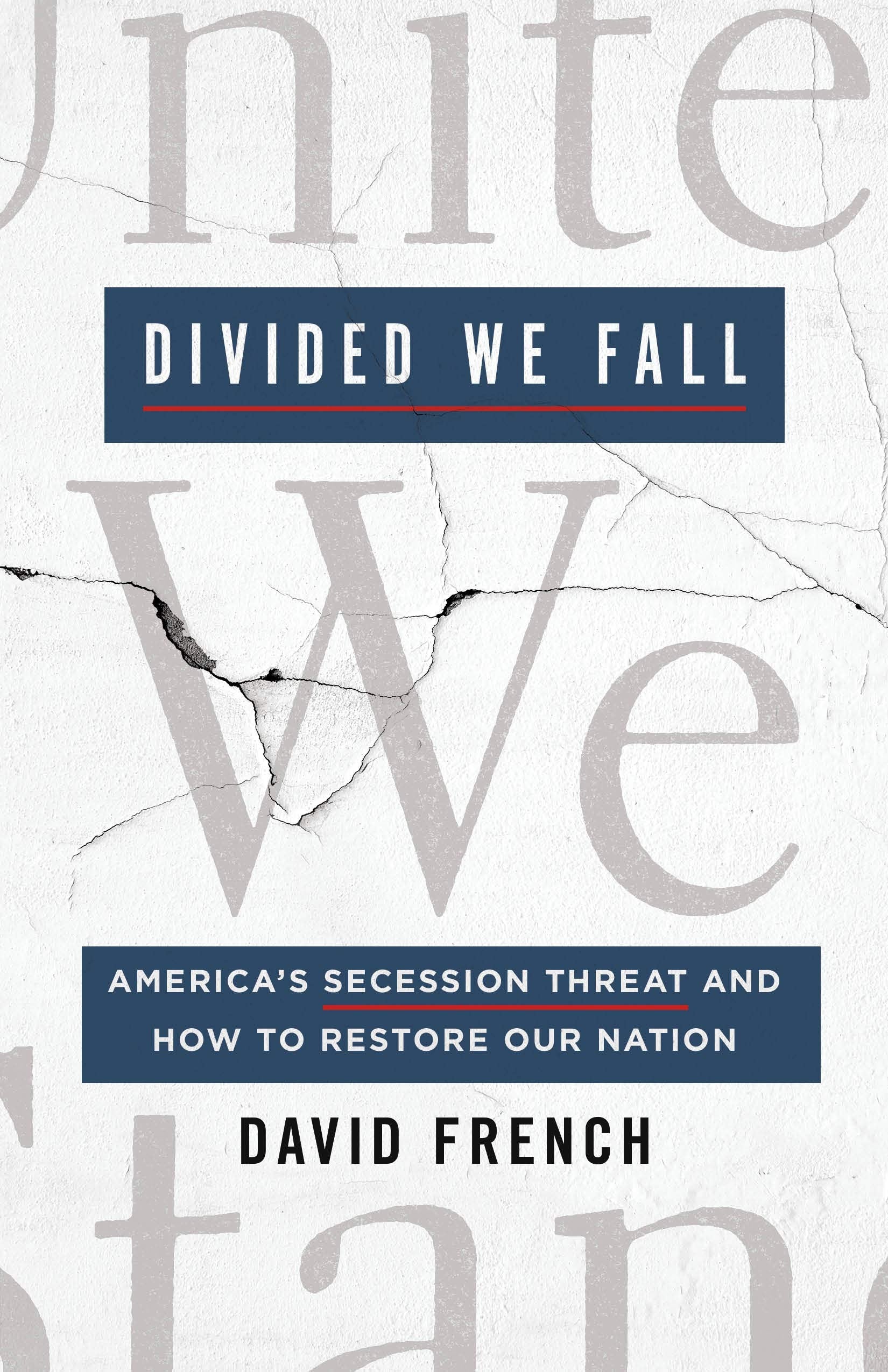 Divided We Fall: America's Secession Threat and How to Restore Our Nation Social Sciences