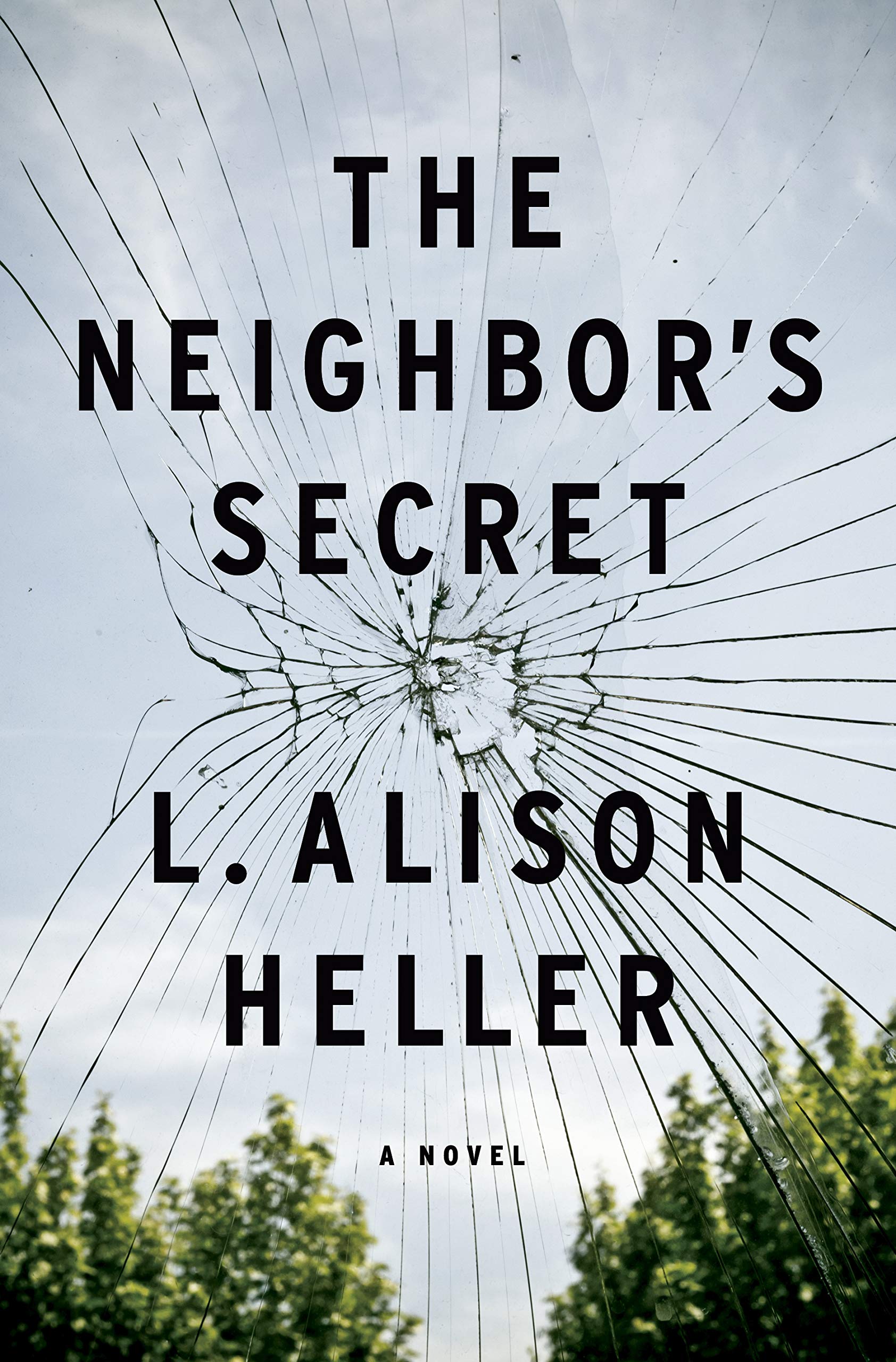 The Neighbor's Secret: A Novel Contemporary literature