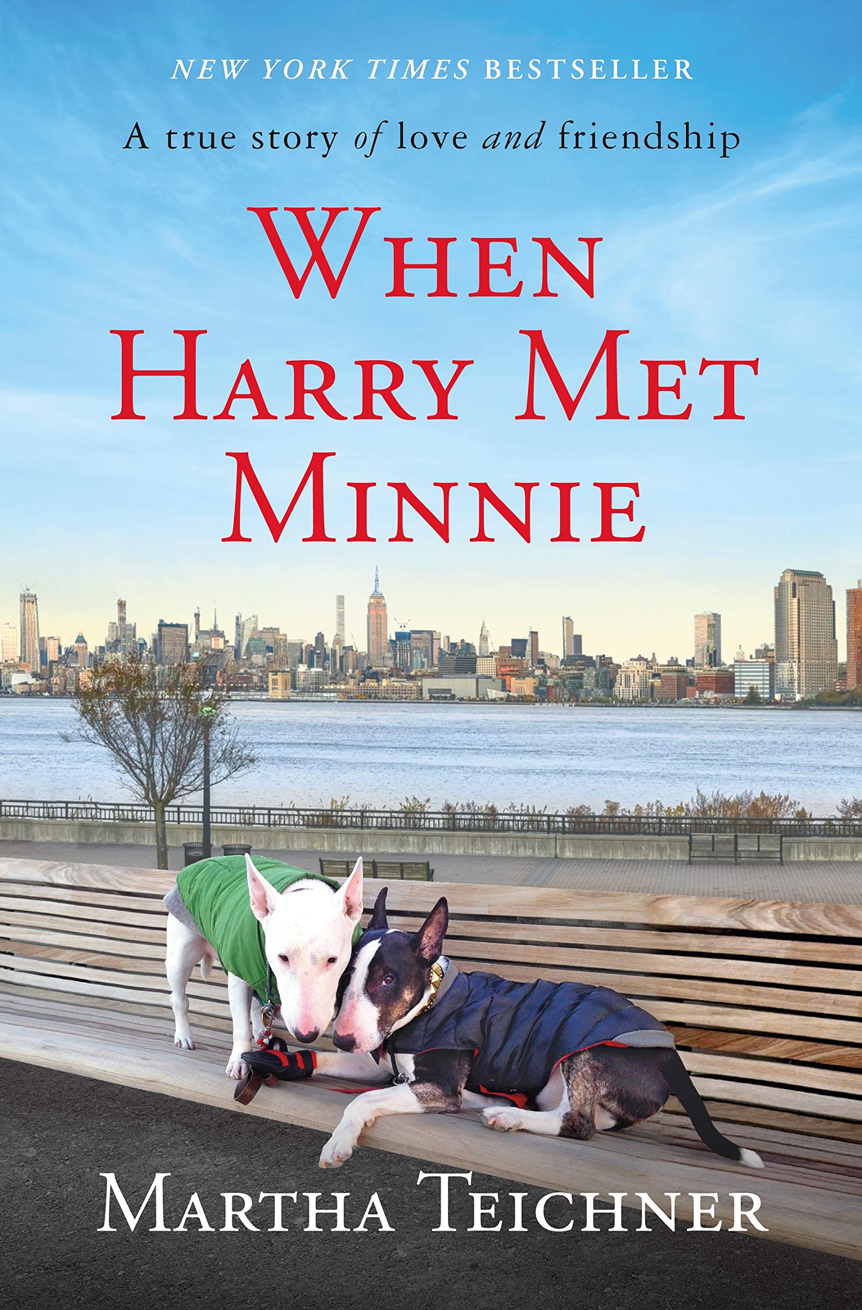 When Harry Met Minnie: A True Story of Love and Friendship book